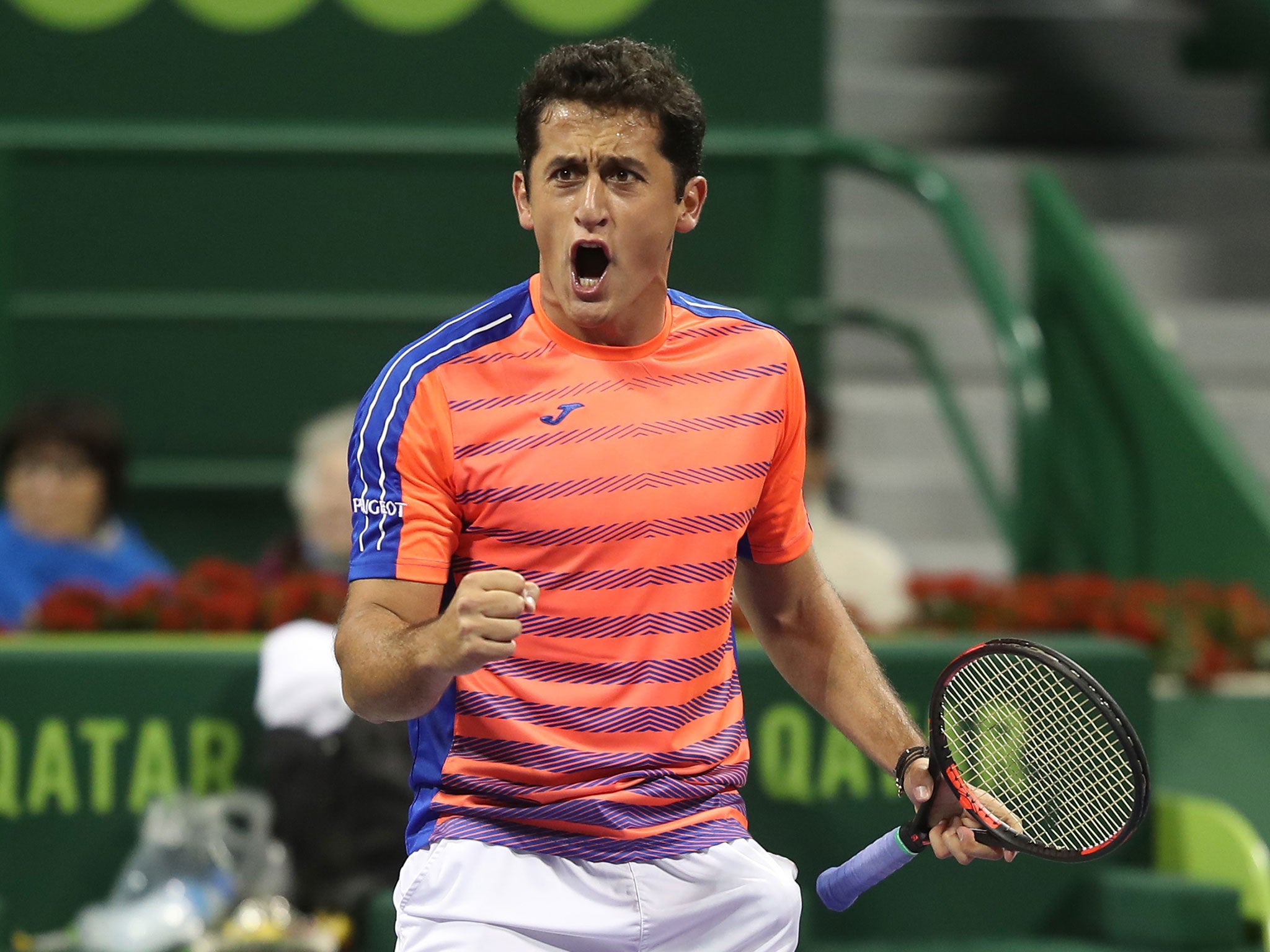 Nicolas Almagro Wallpapers