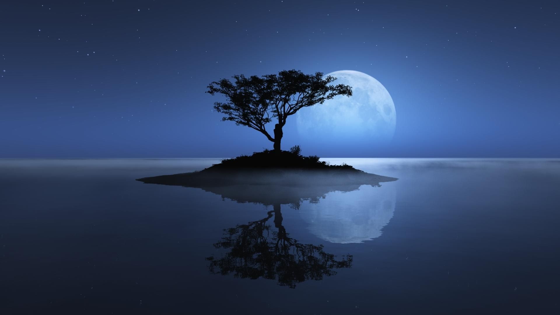 Night Nature Wallpapers