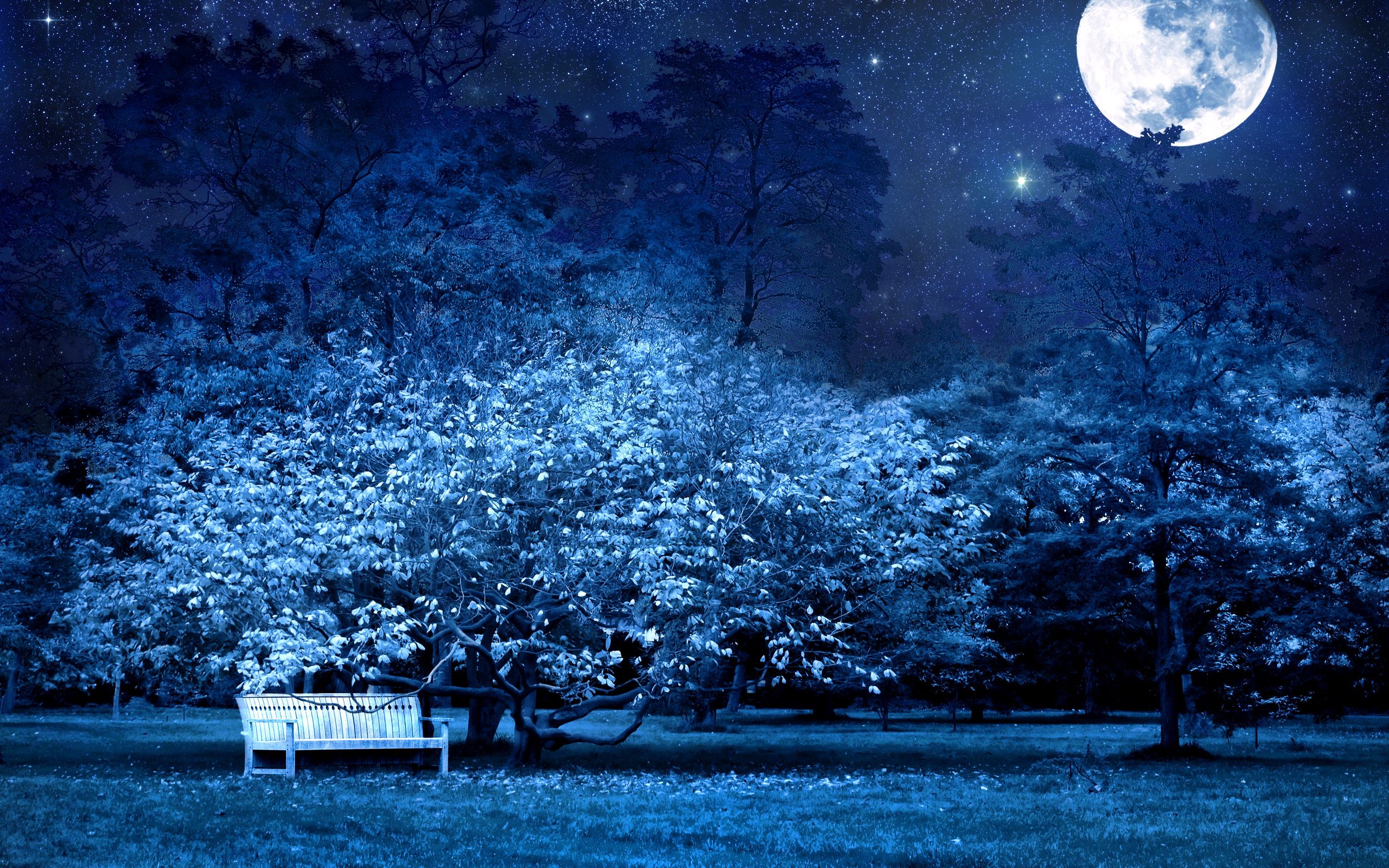 Night Nature Wallpapers
