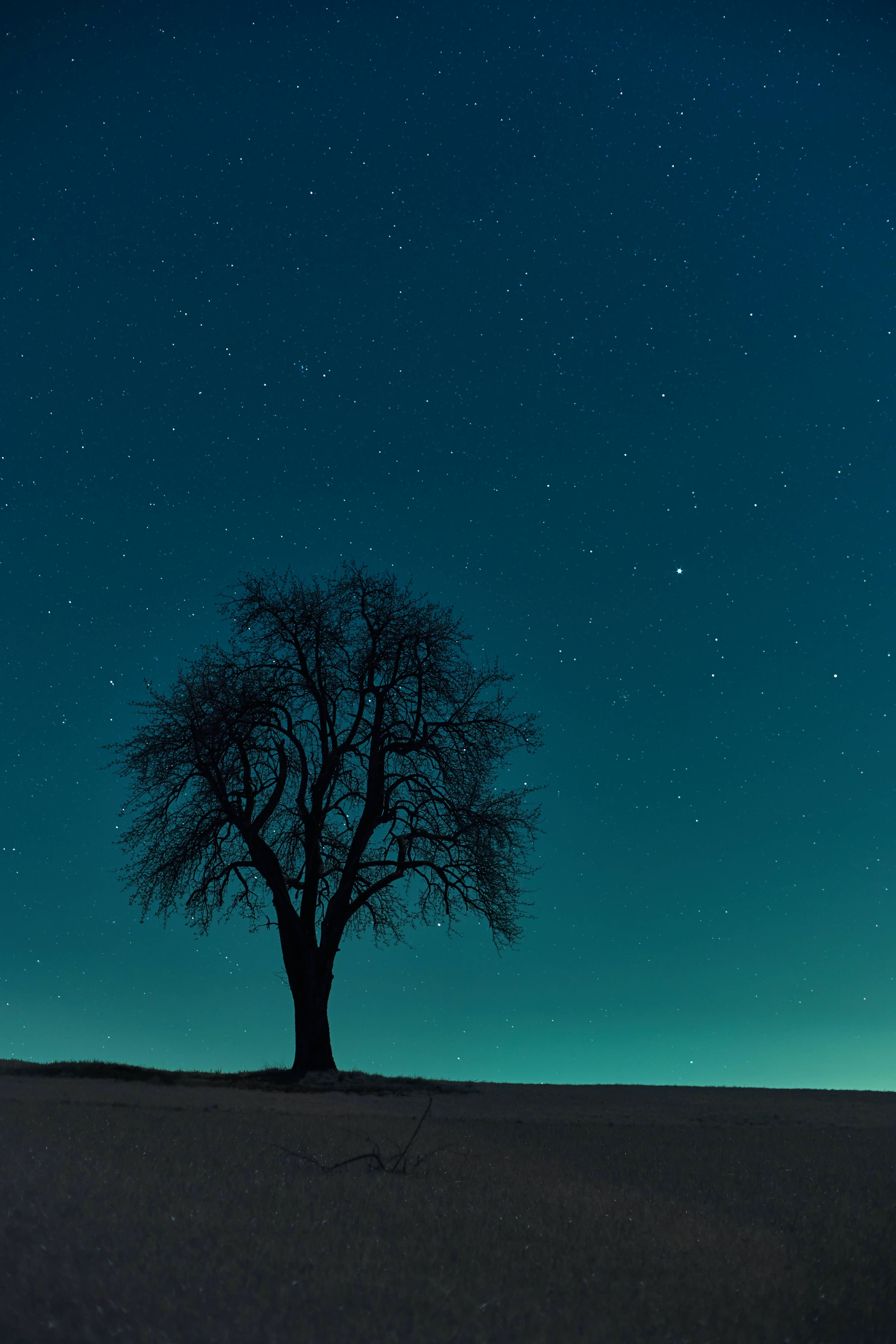 Night Nature Wallpapers