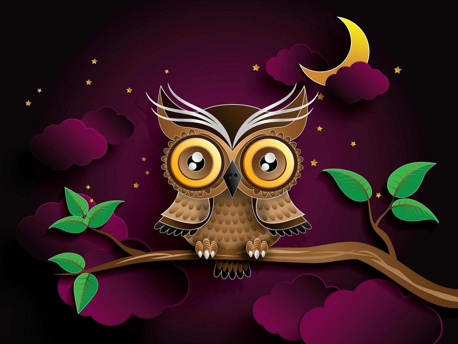 Night Owl Cartoon Wallpapers