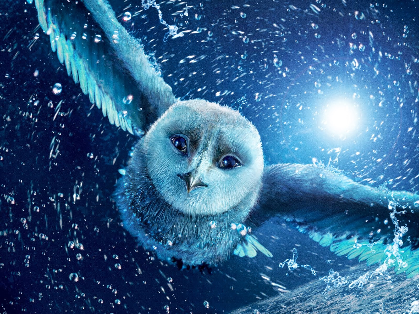 Night Owl Cartoon Wallpapers