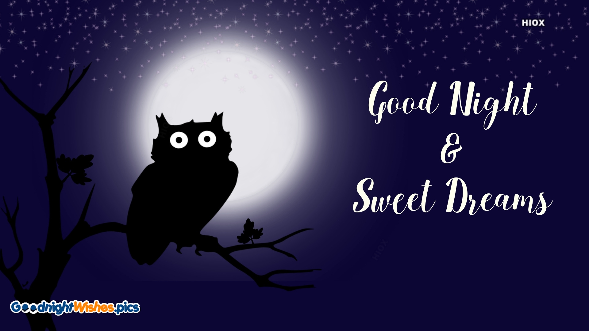 Night Owl Cartoon Wallpapers