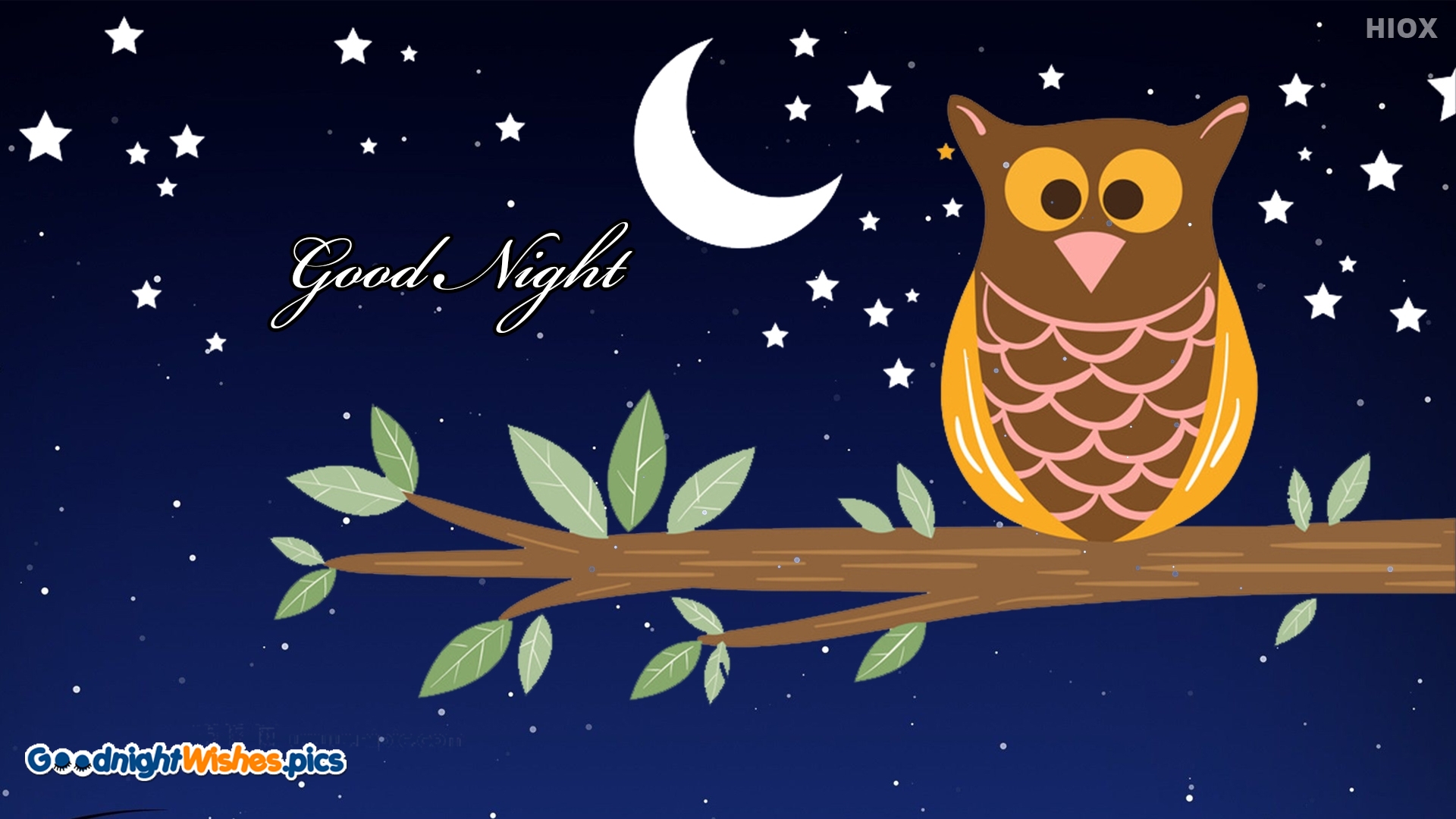 Night Owl Cartoon Wallpapers