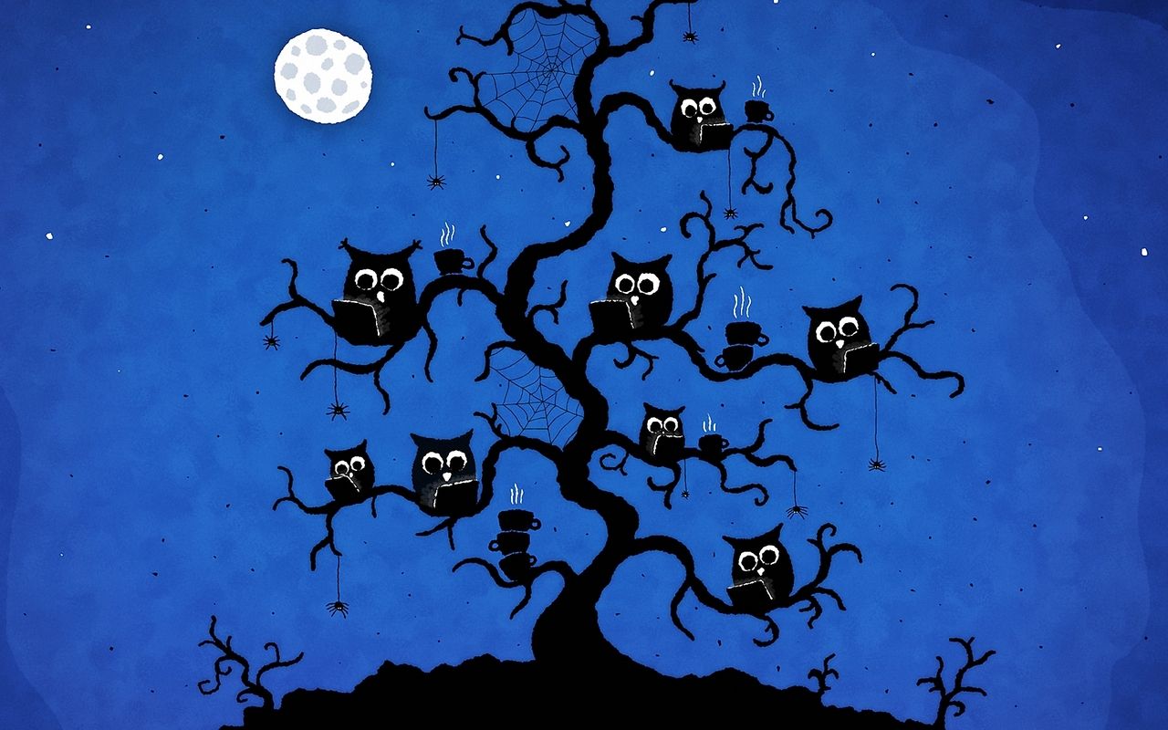 Night Owl Cartoon Wallpapers