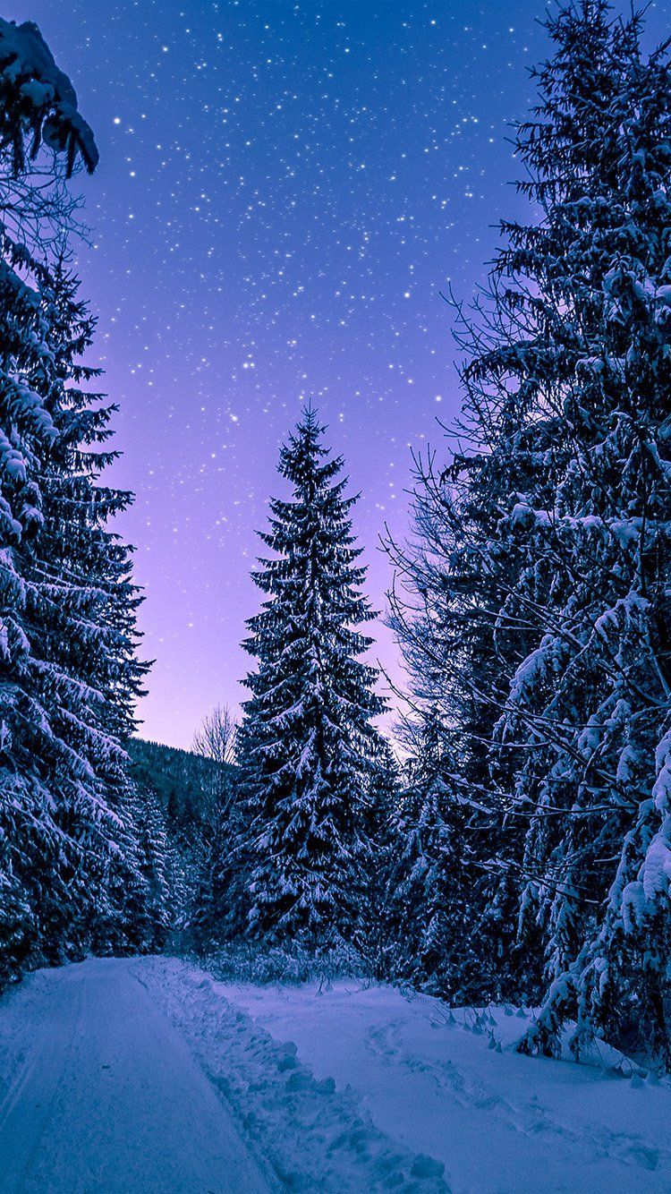 Night Snow Phone Wallpapers