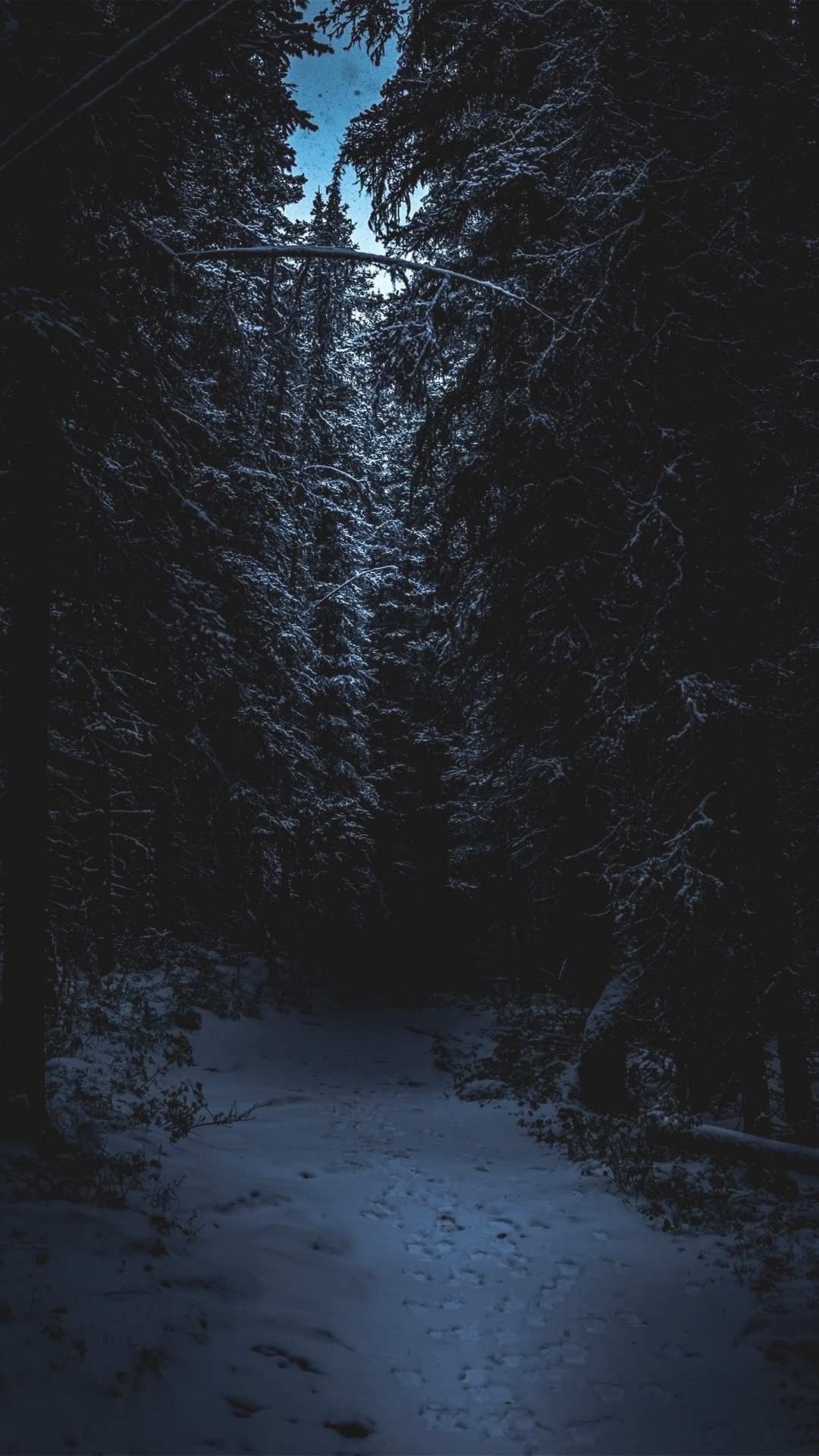 Night Snow Phone Wallpapers