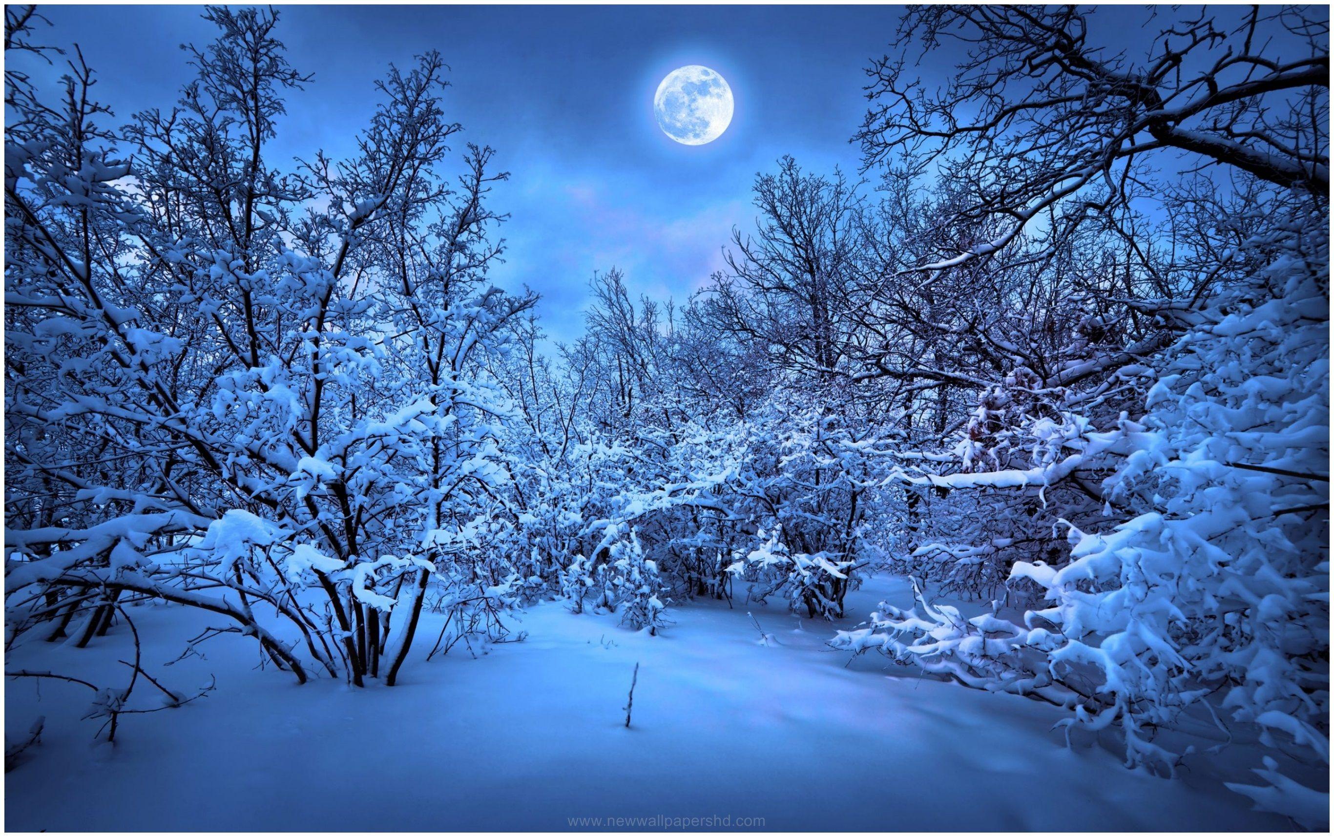 Night Snow Wallpapers