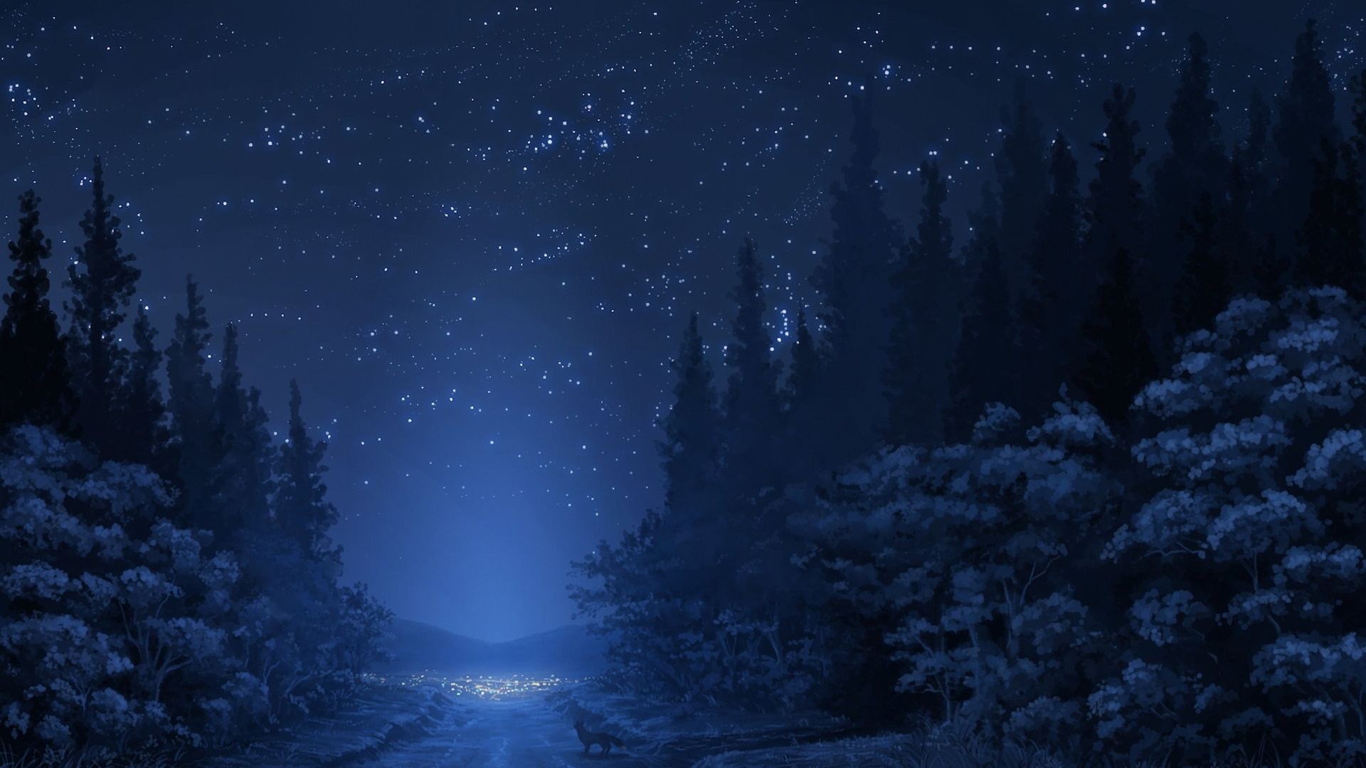 Night Time Forest Wallpapers