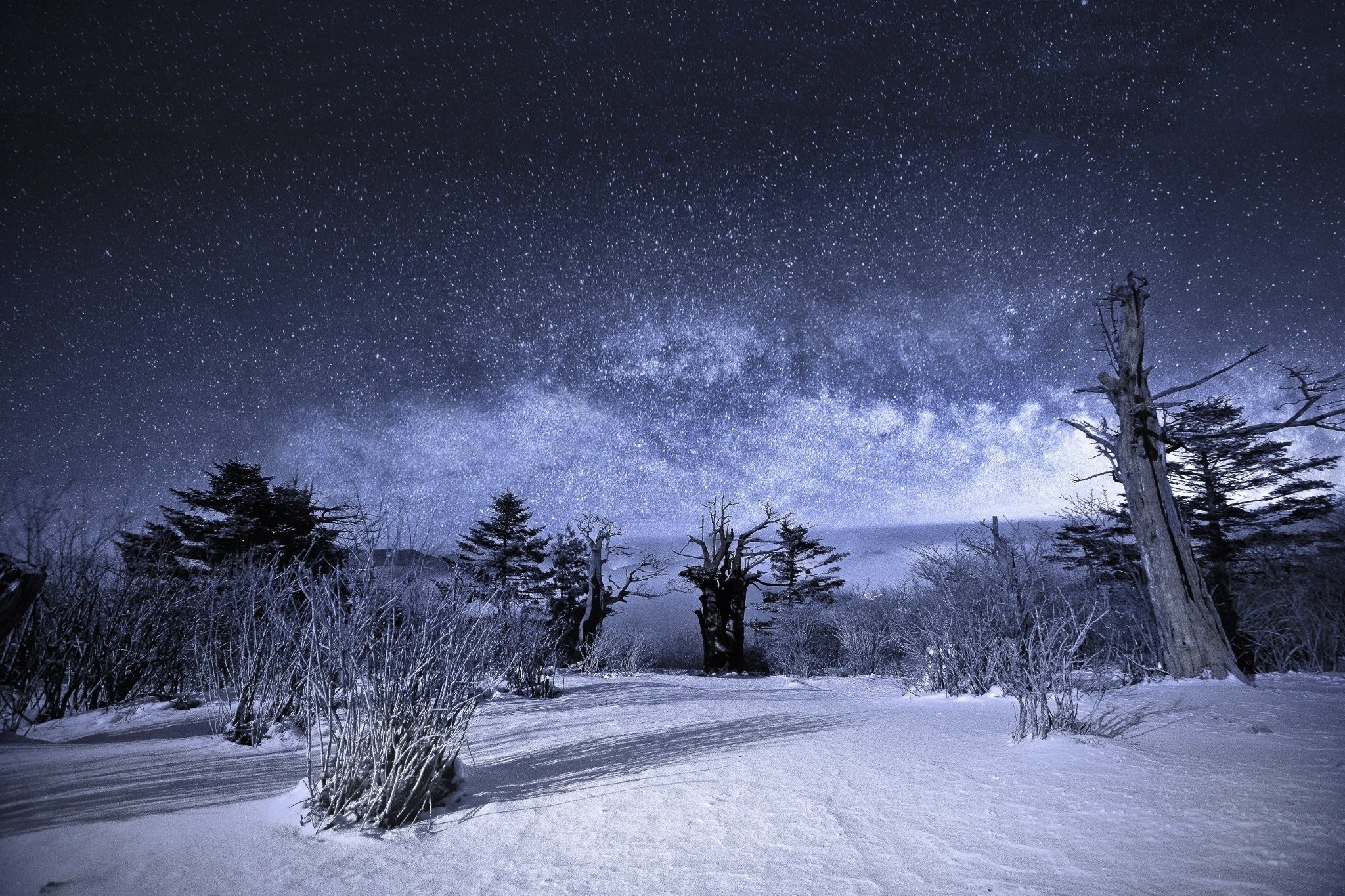 Night Winter Landscape Wallpapers