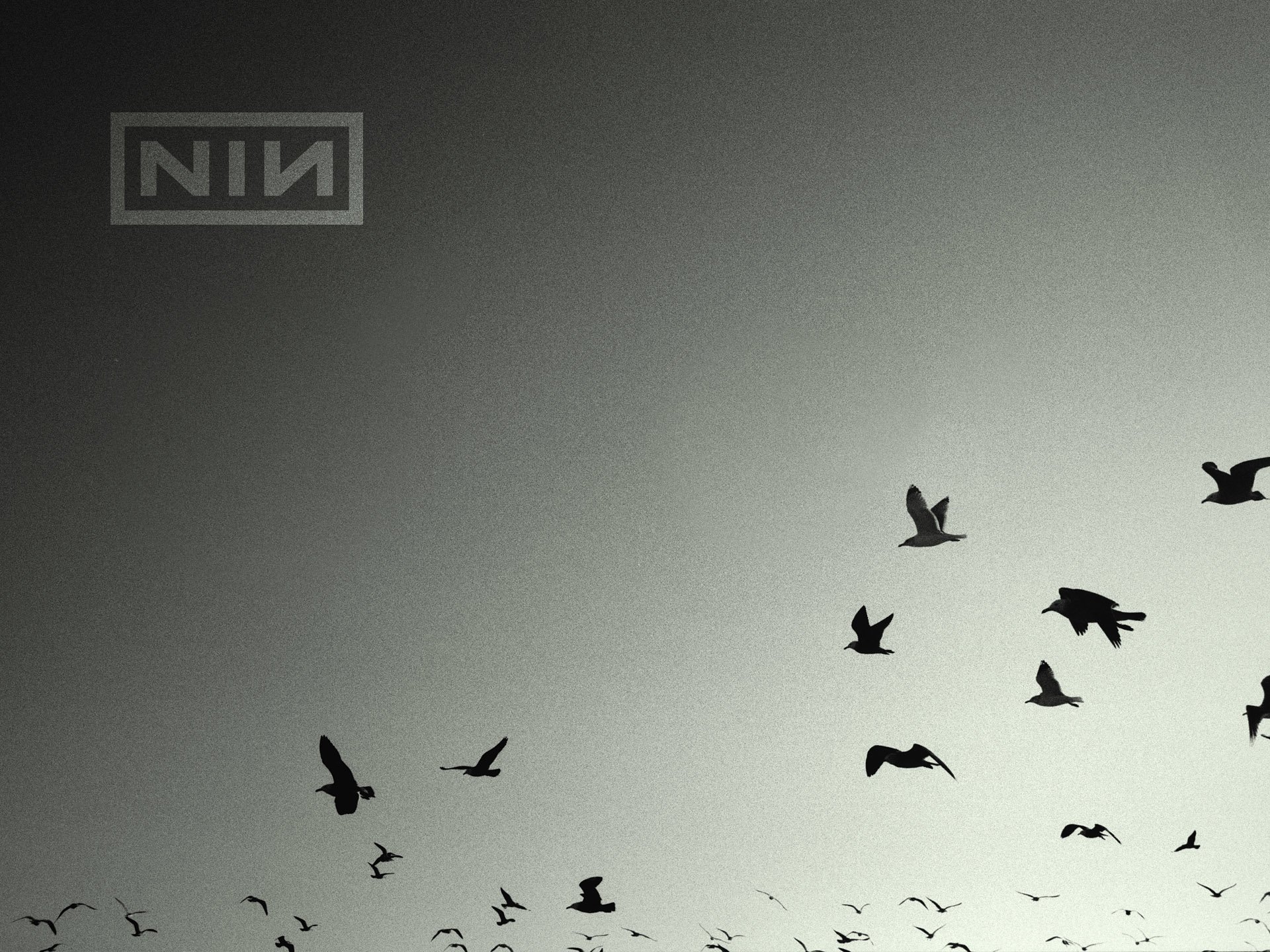 Nine Inch Nail Wallpapers