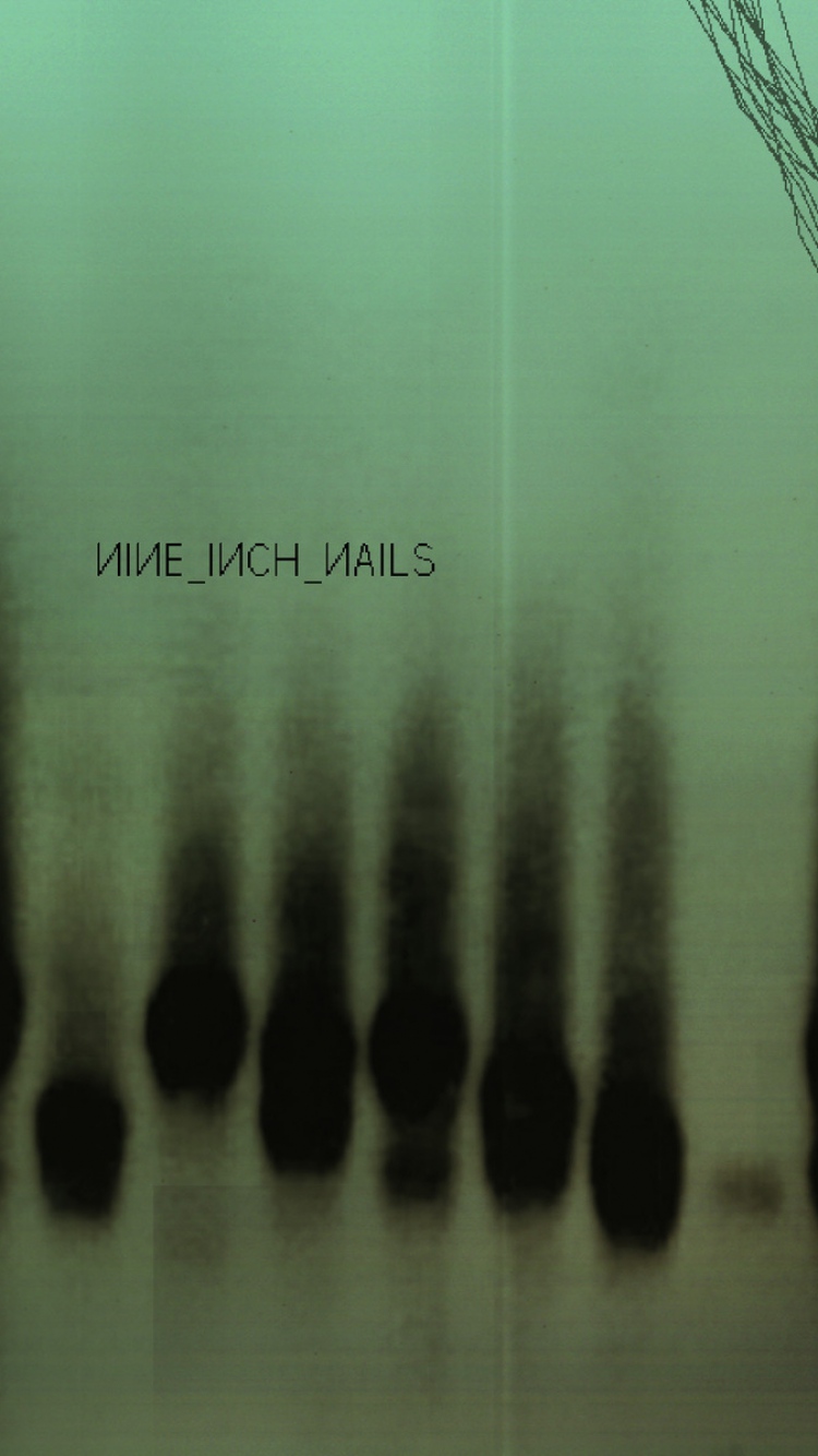 Nine Inch Nail Wallpapers