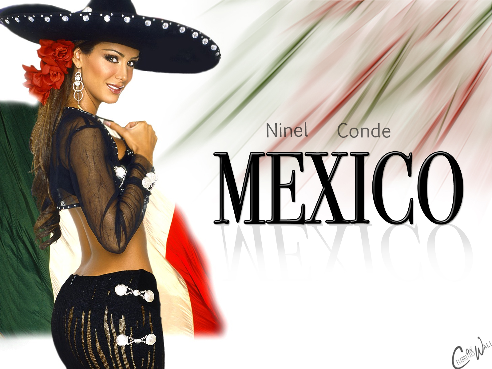 Ninel Conde Wallpapers