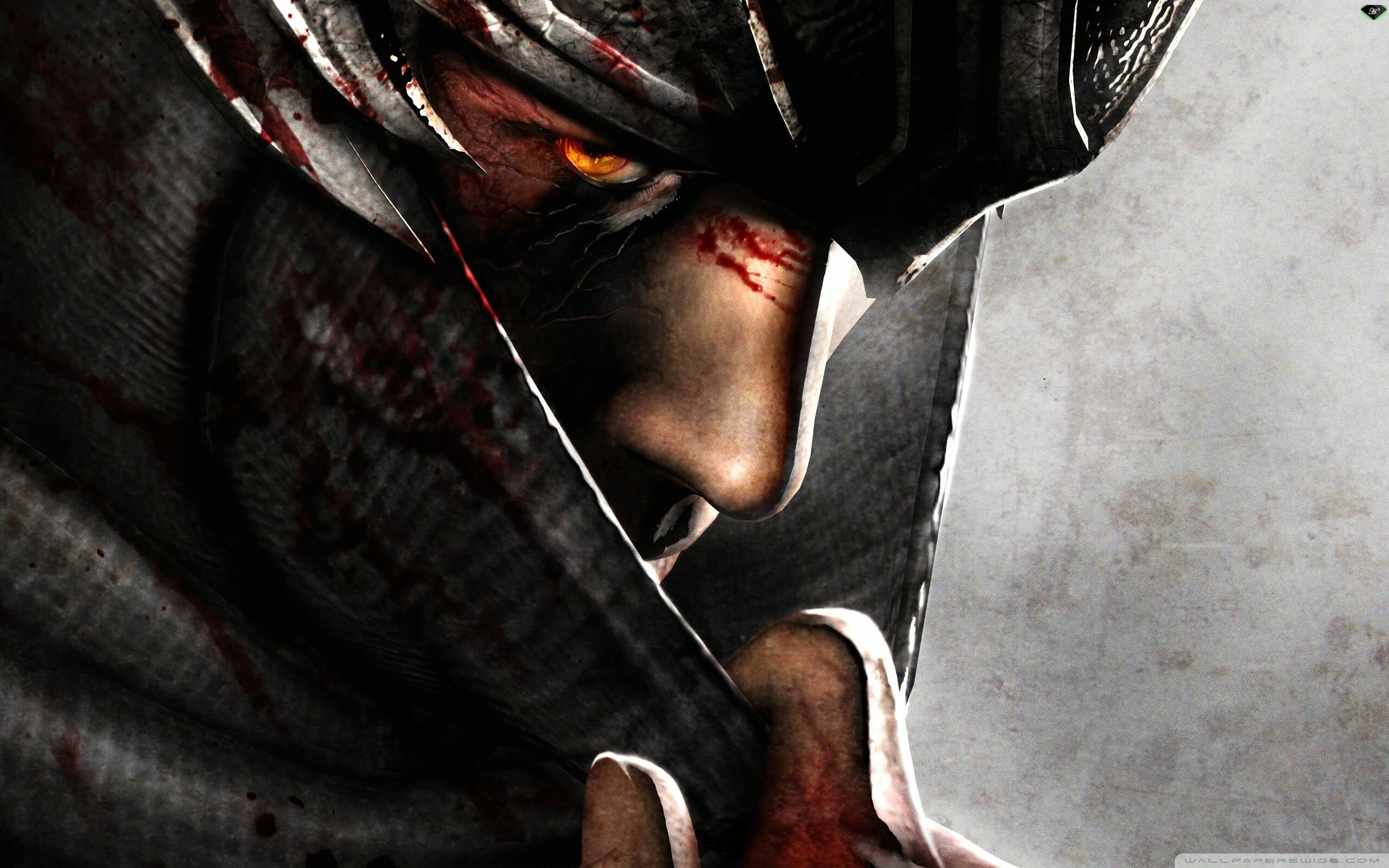 Ninja Gaiden 1920X1080 Wallpapers