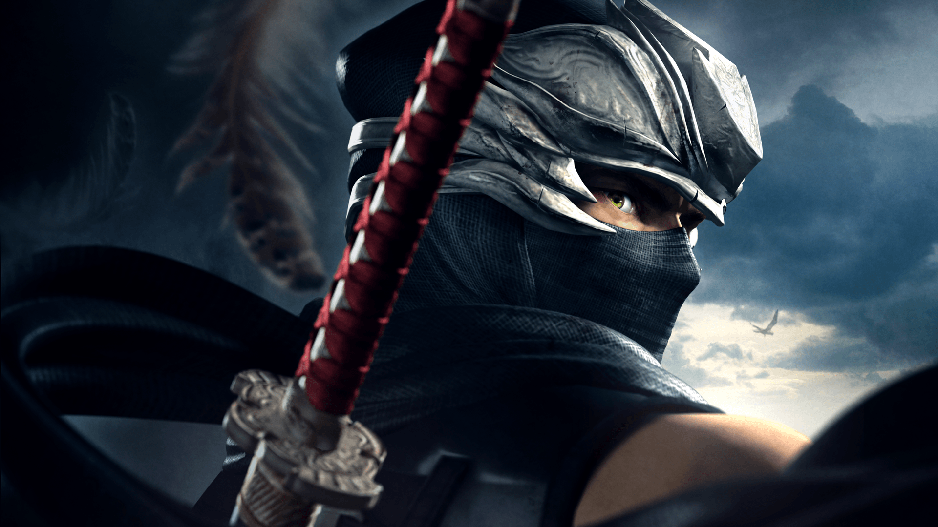 Ninja Gaiden 1920X1080 Wallpapers