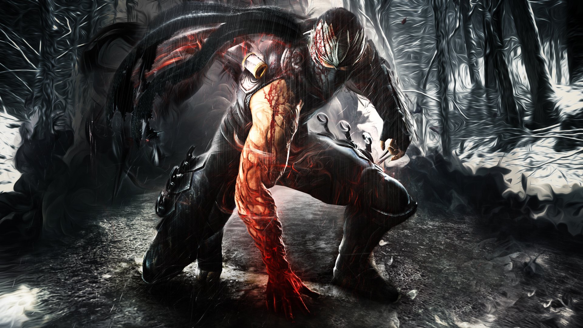 Ninja Gaiden 1920X1080 Wallpapers