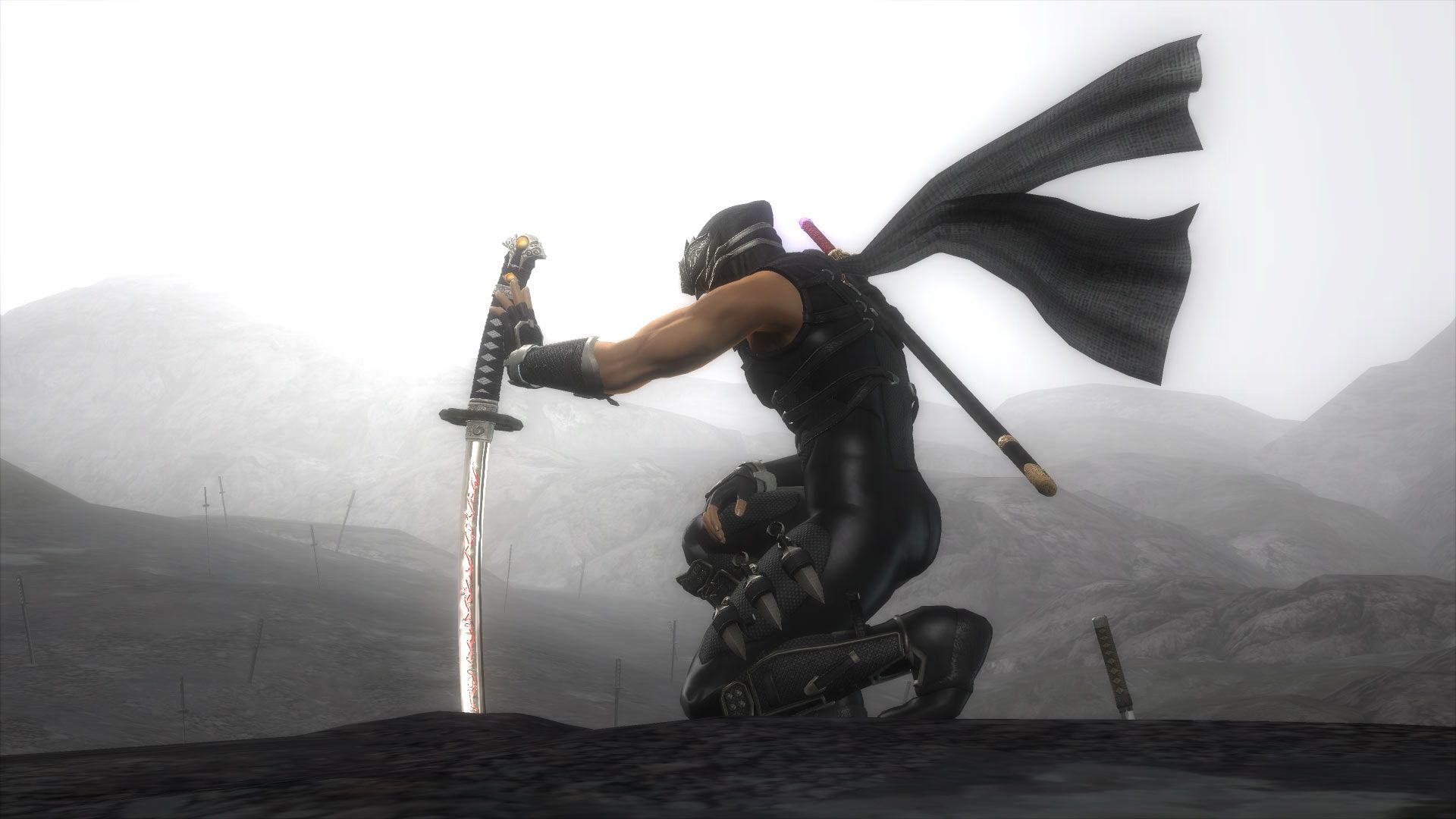 Ninja Gaiden 1920X1080 Wallpapers