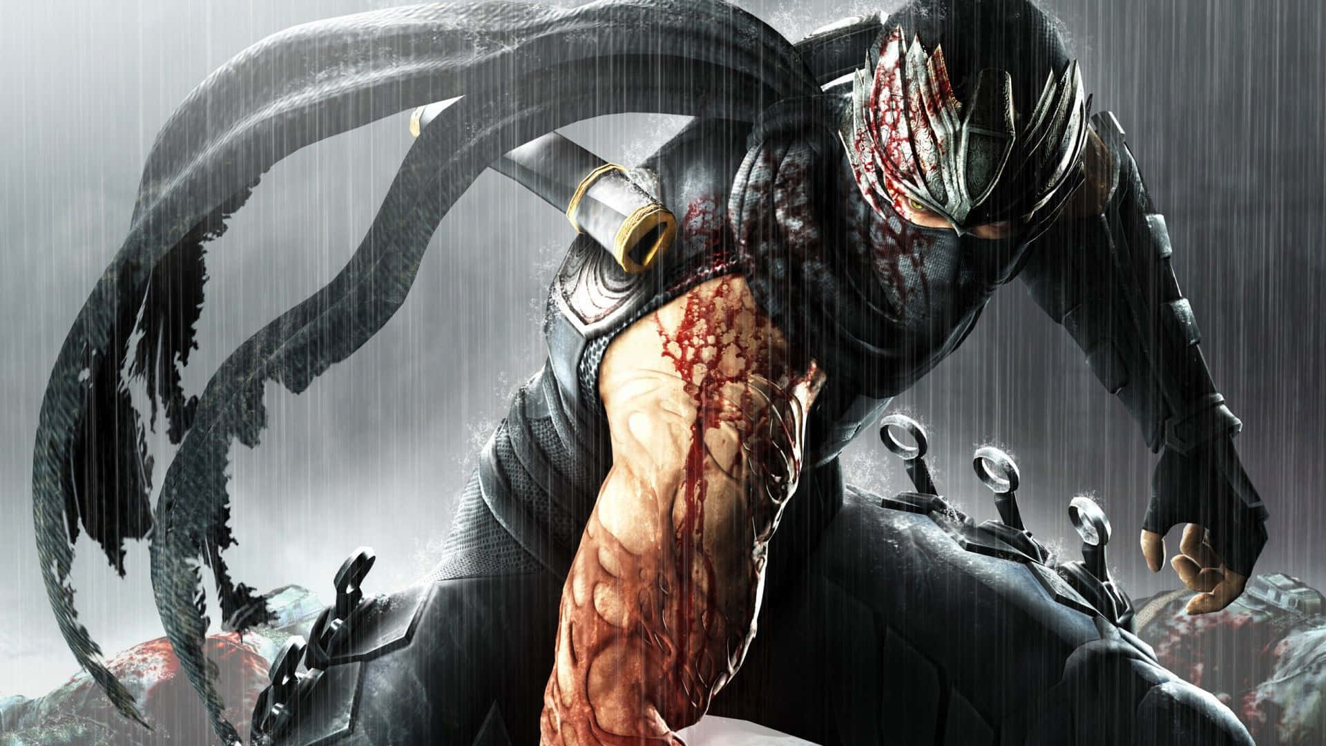 Ninja Gaiden 1920X1080 Wallpapers