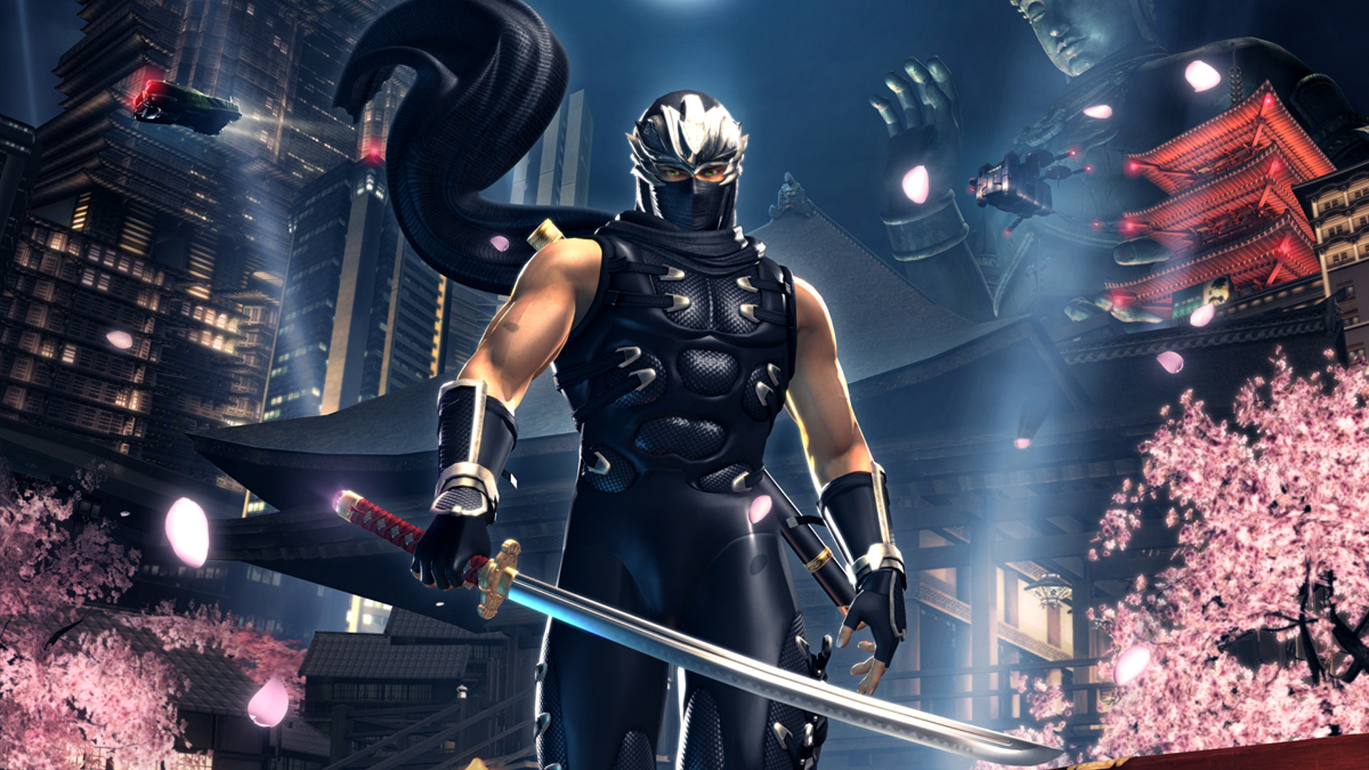 Ninja Gaiden 2 Wallpapers