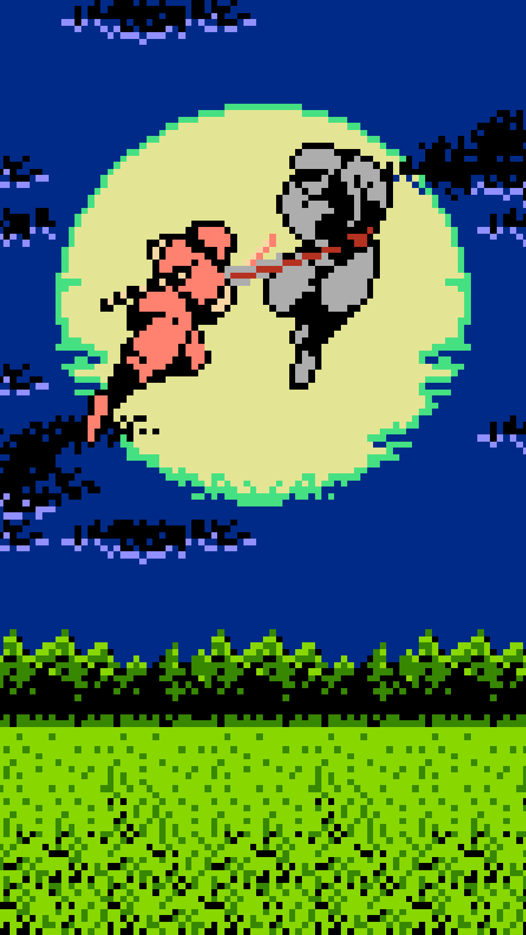 Ninja Gaiden Nes Wallpapers