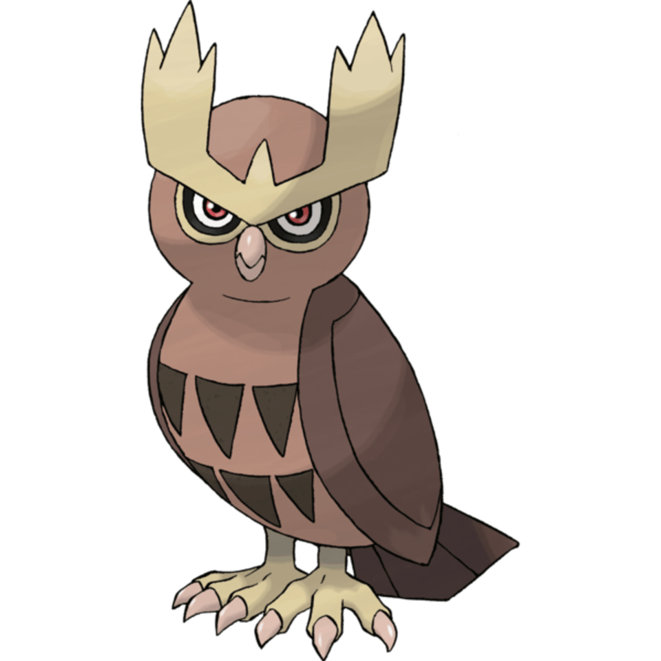 Noctowl Hd Wallpapers