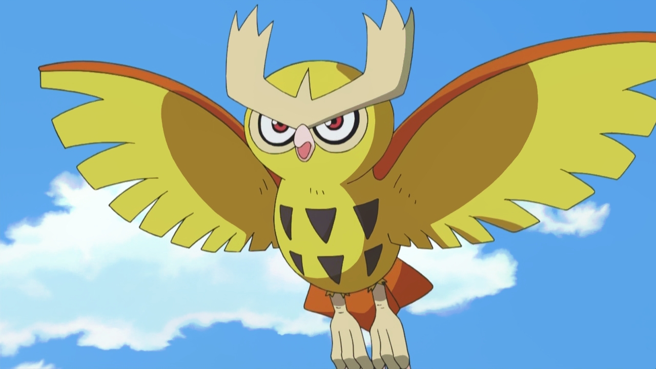 Noctowl Hd Wallpapers