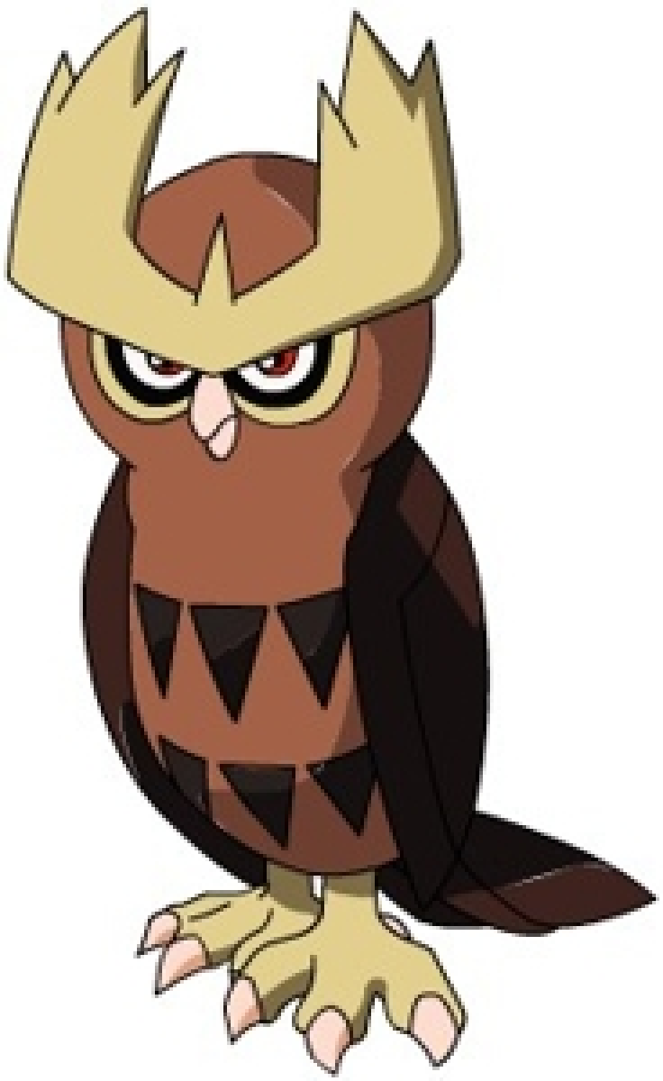 Noctowl Hd Wallpapers