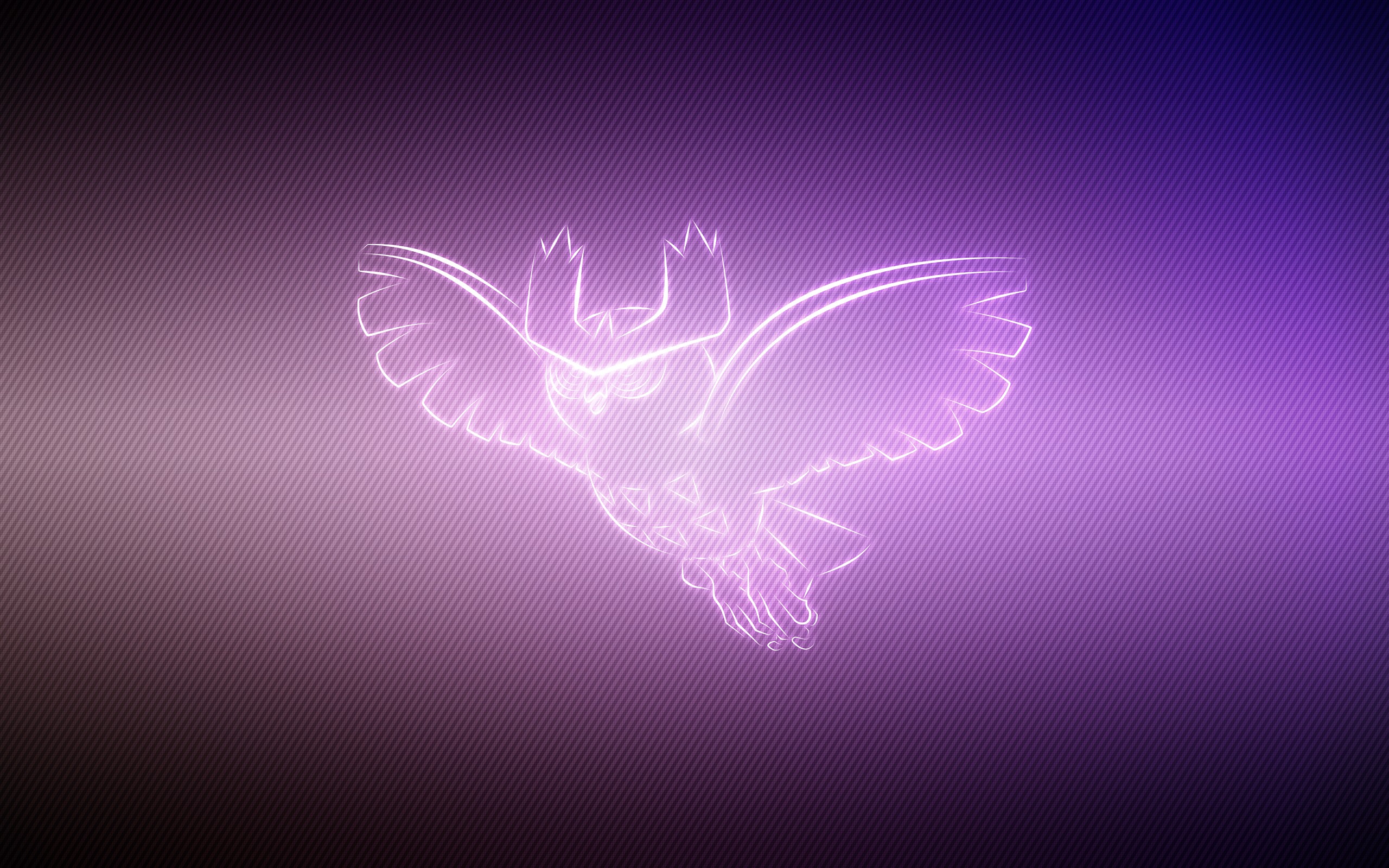 Noctowl Hd Wallpapers