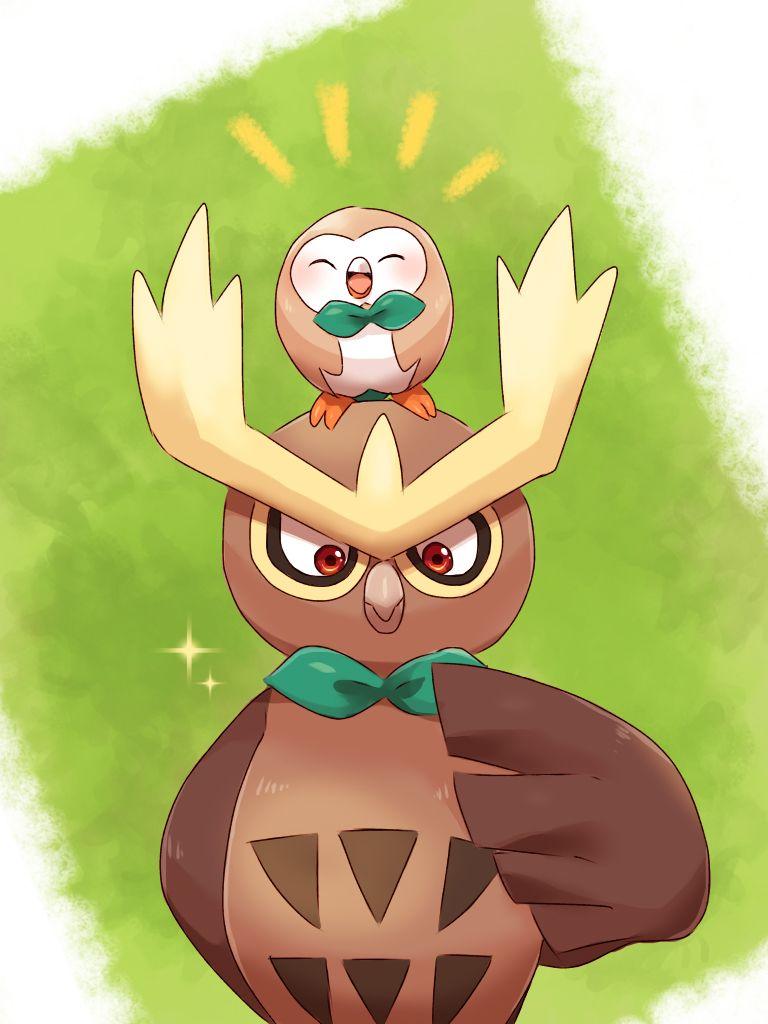 Noctowl Hd Wallpapers