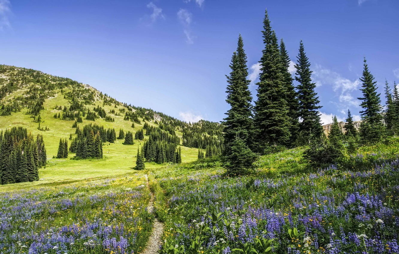 North Cascades National Park Wallpapers