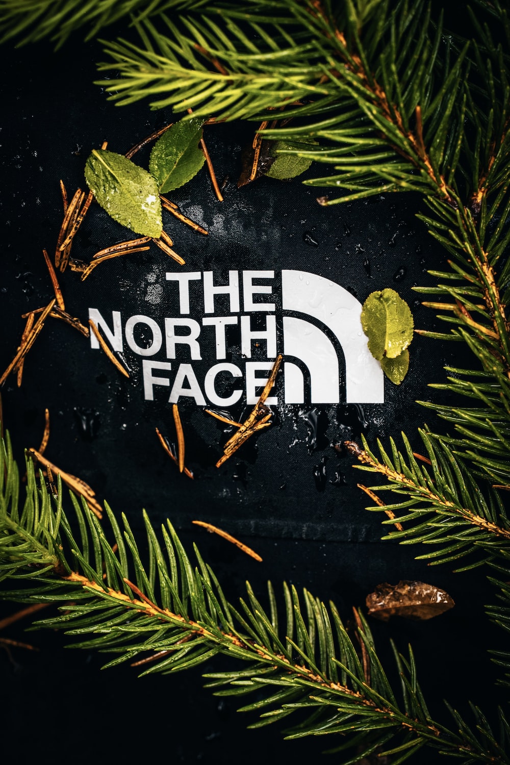 North Face Background