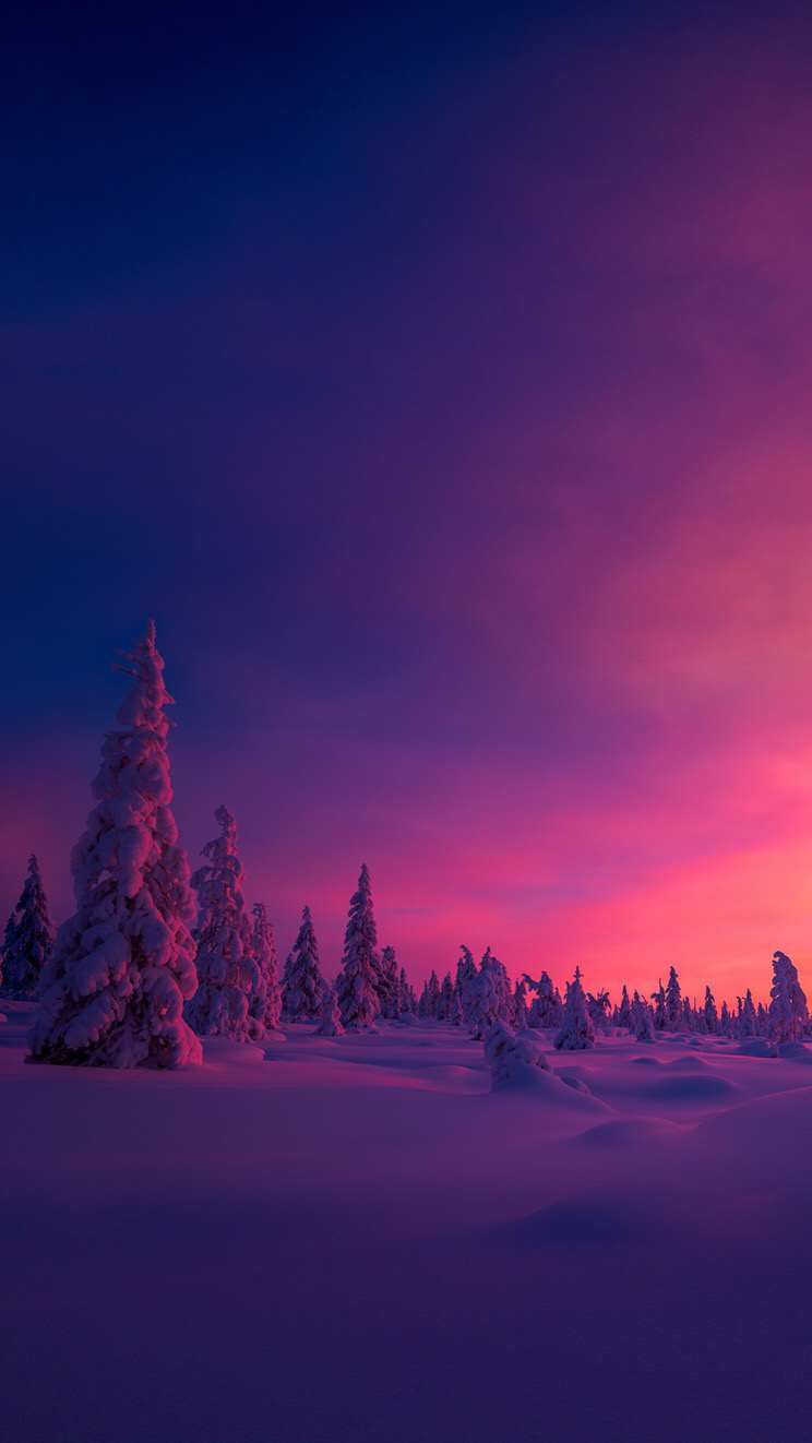 North Pole Sunset Wallpapers