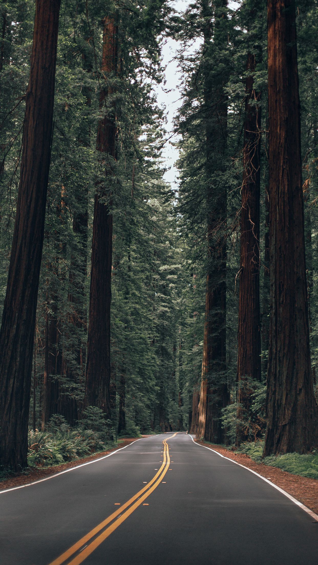 Northern California Wallpapers