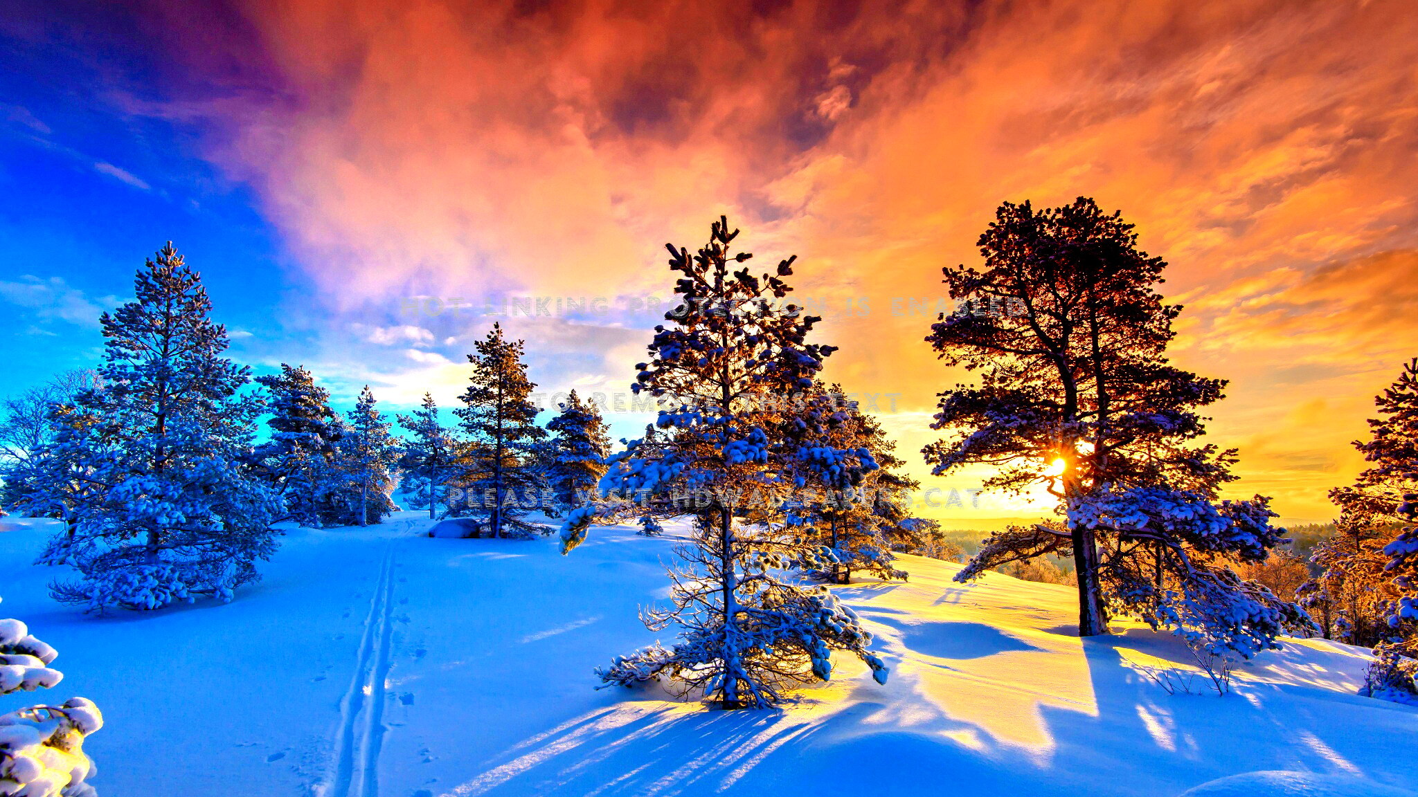 Norway Winter Wallpapers