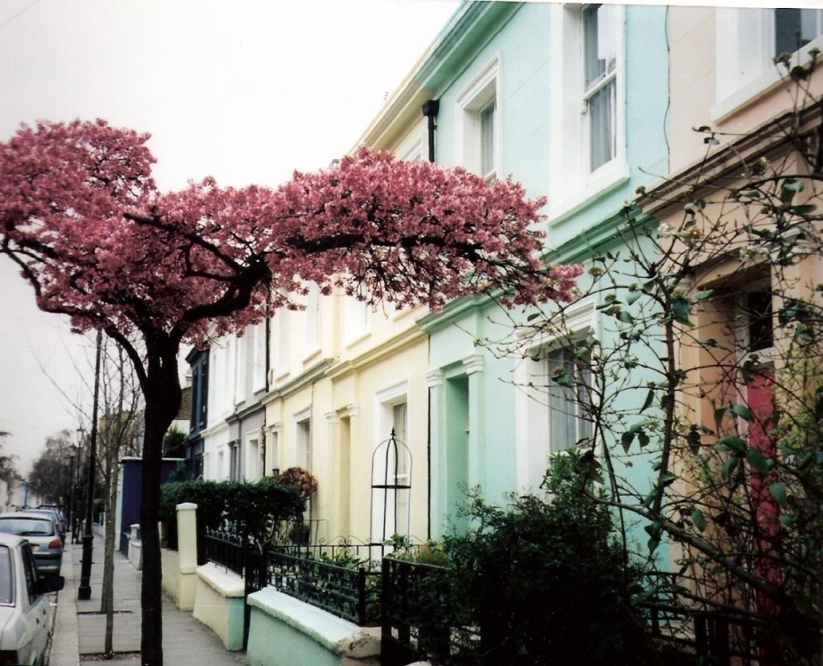 Notting Hill Wallpapers