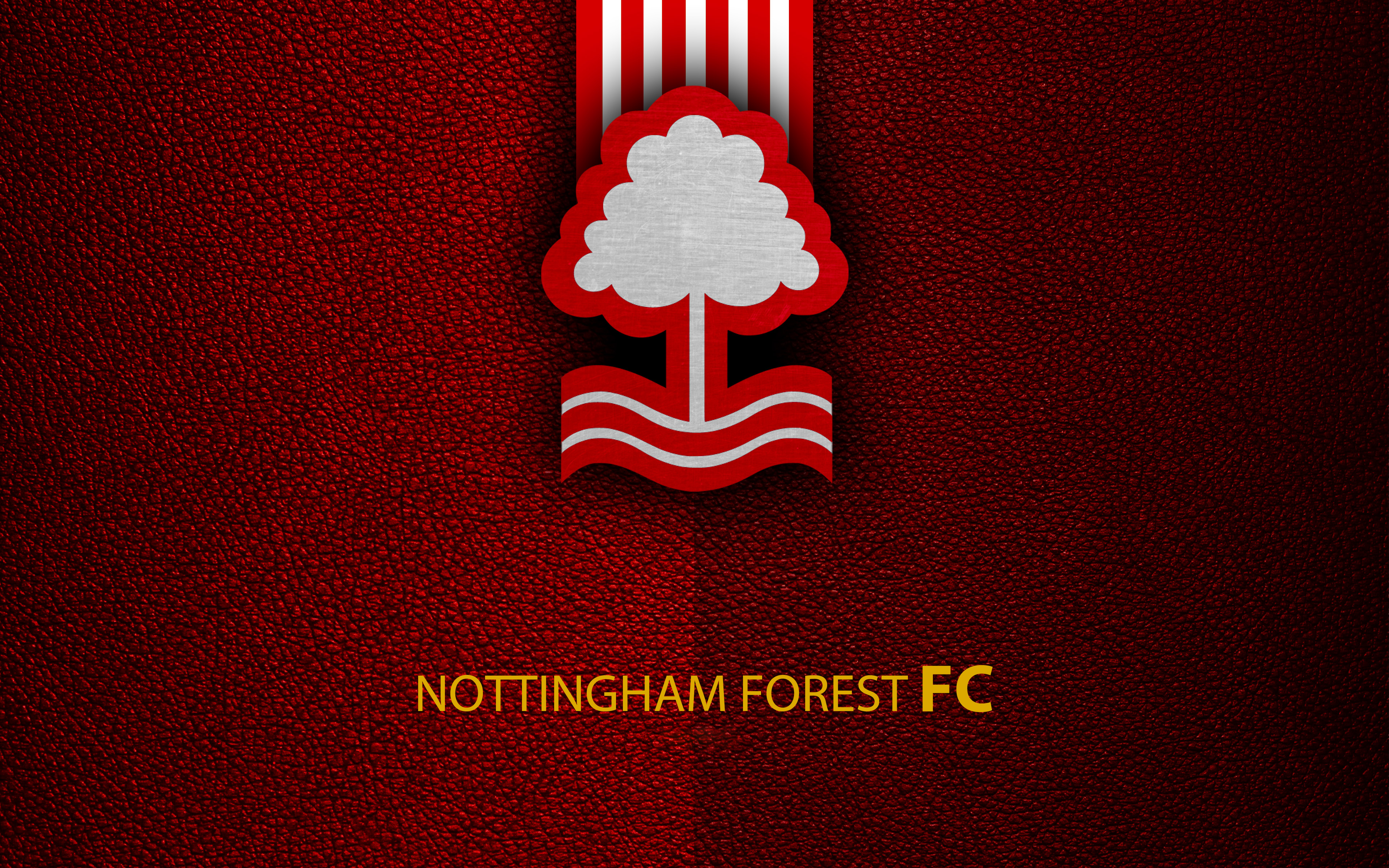 Nottingham Forest F.C. Wallpapers