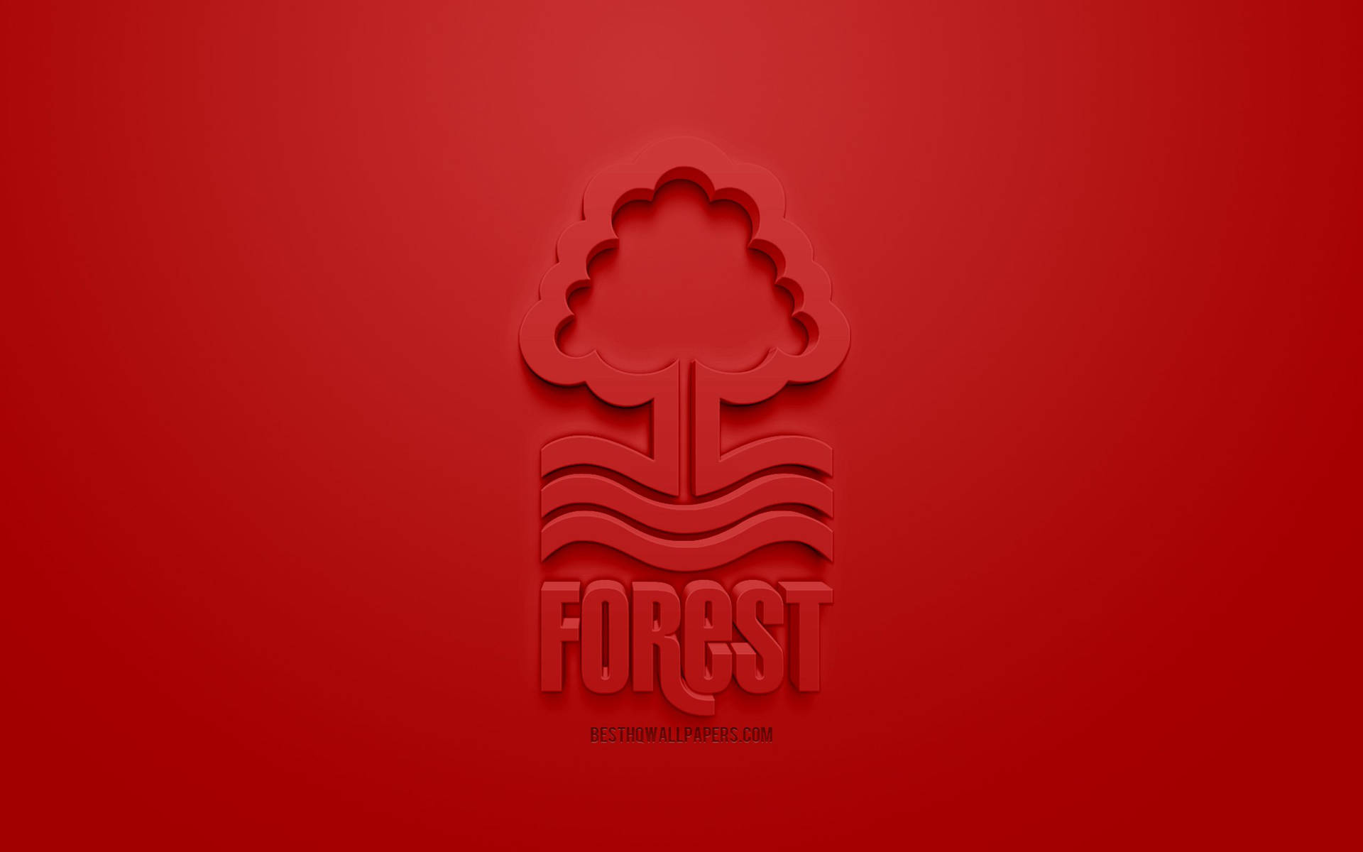 Nottingham Forest F.C. Wallpapers