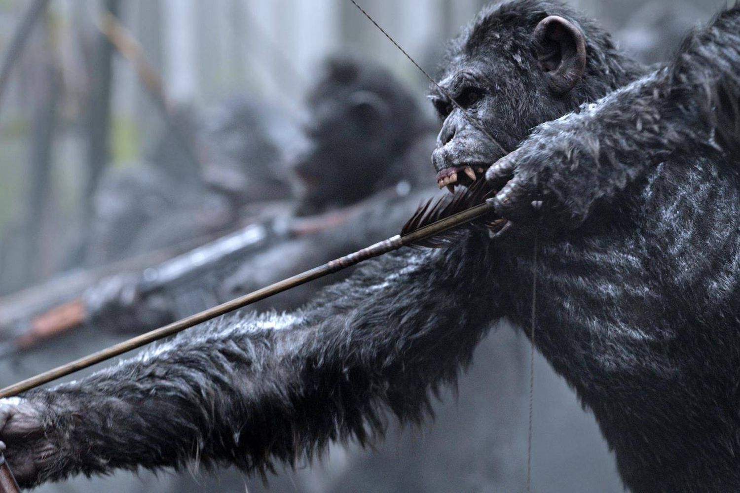 Nova War For The Planet Of The Apes Wallpapers