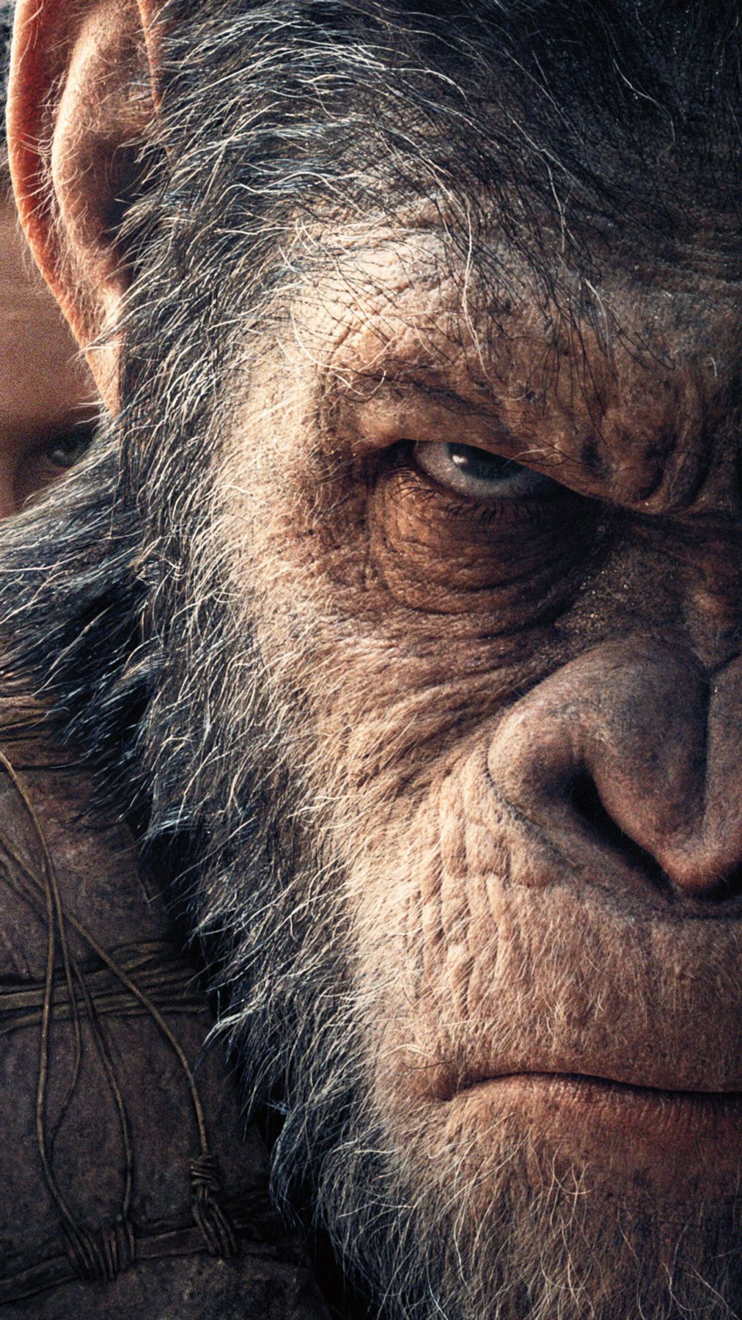 Nova War For The Planet Of The Apes Wallpapers