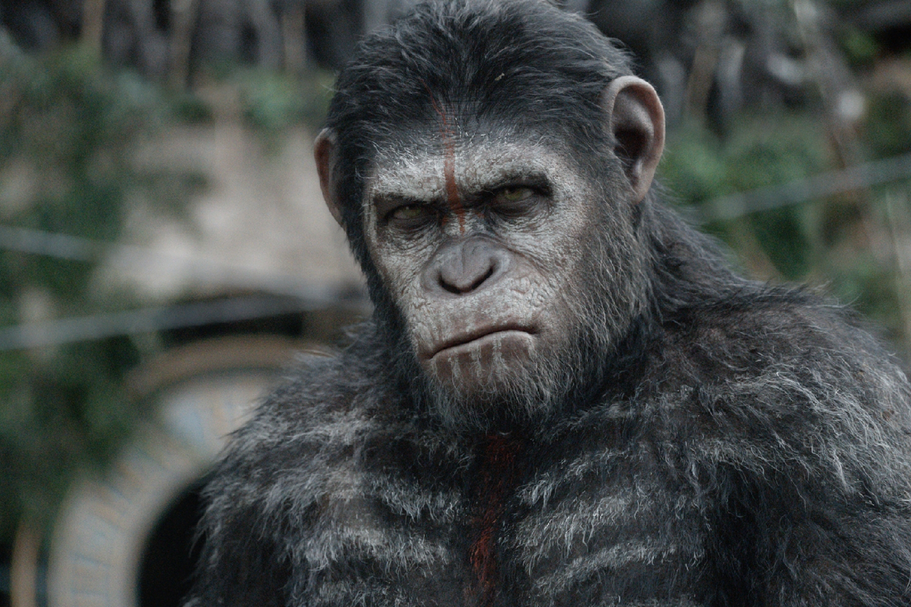 Nova War For The Planet Of The Apes Wallpapers