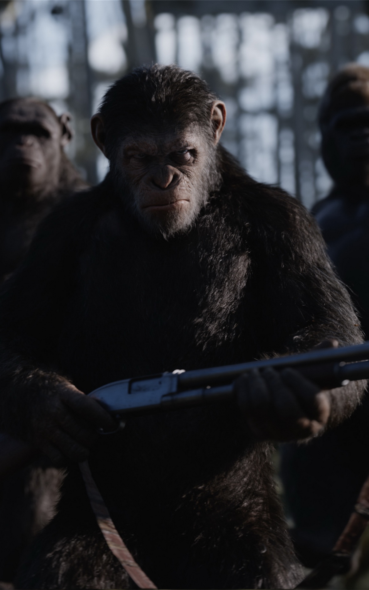 Nova War For The Planet Of The Apes Wallpapers