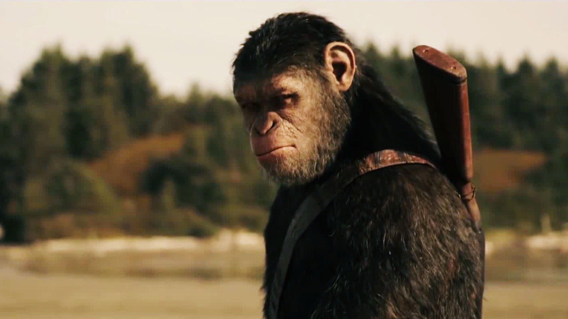 Nova War For The Planet Of The Apes Wallpapers