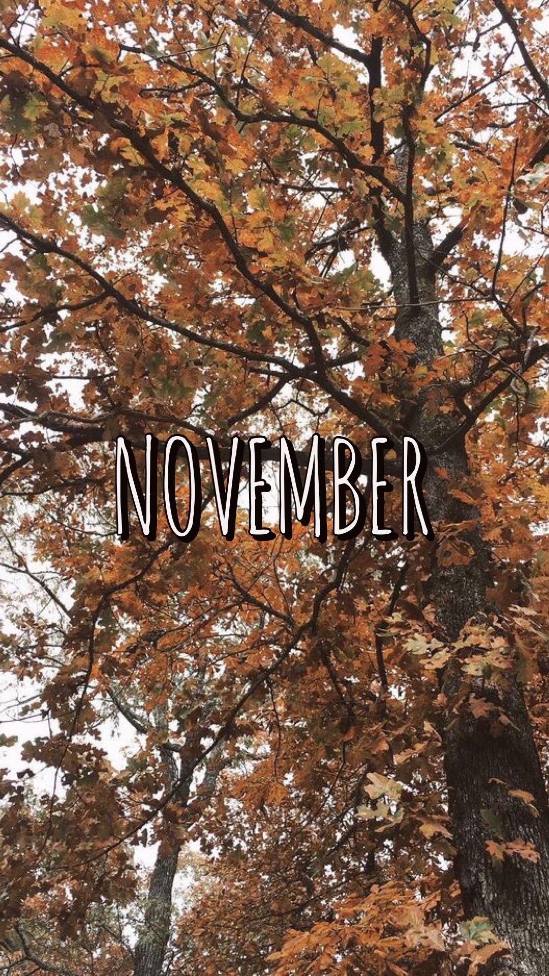 November Aesthetic Wallpapers