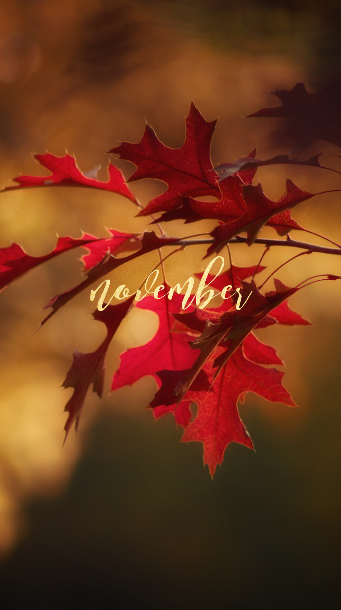 November Fall Images Wallpapers