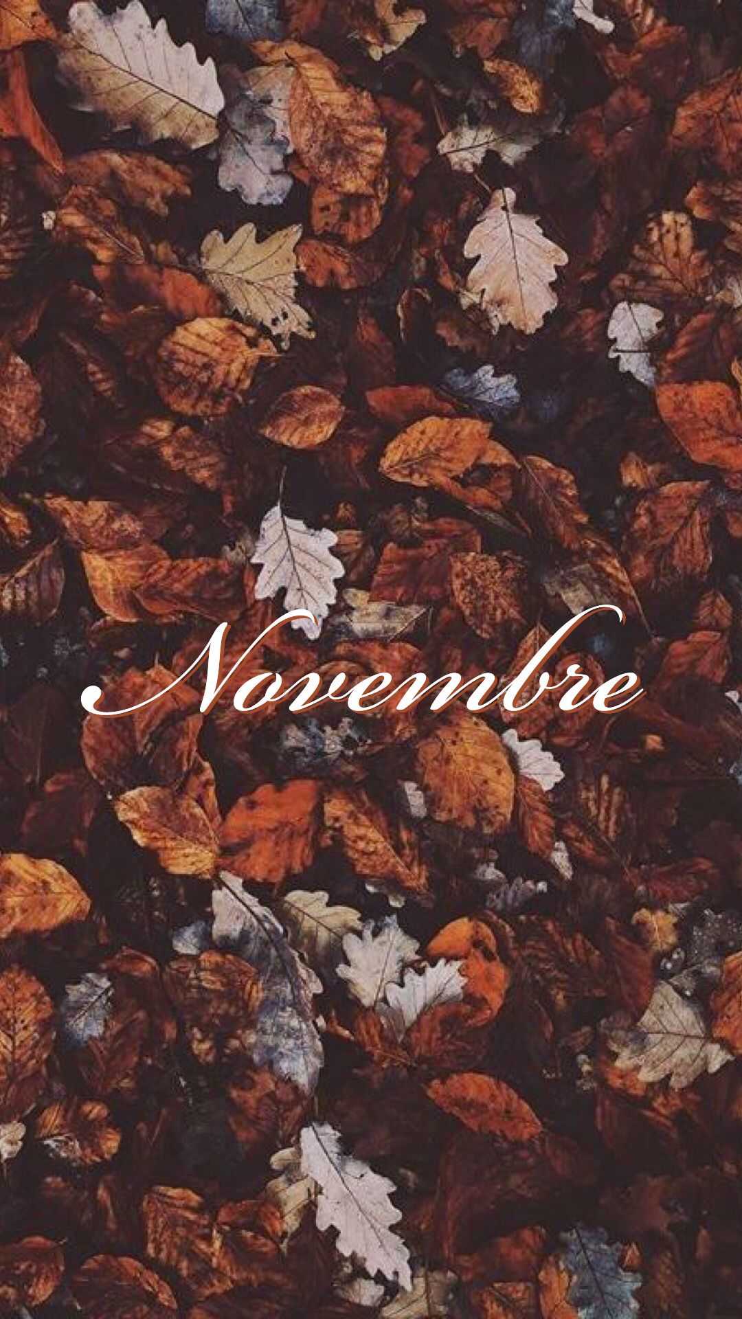 November Fall Images Wallpapers