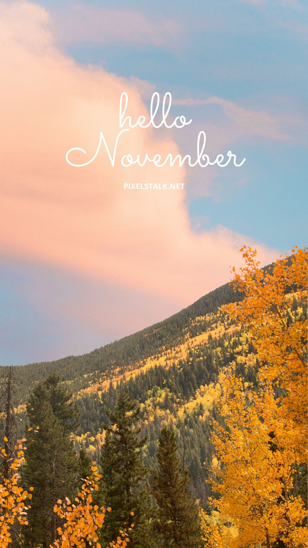 November Iphone Wallpapers