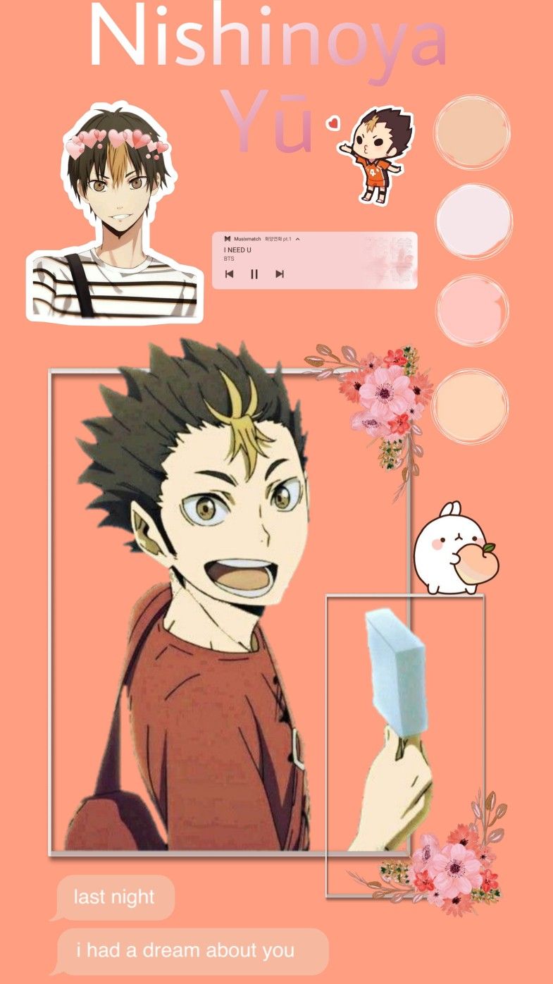 Noya Wallpapers