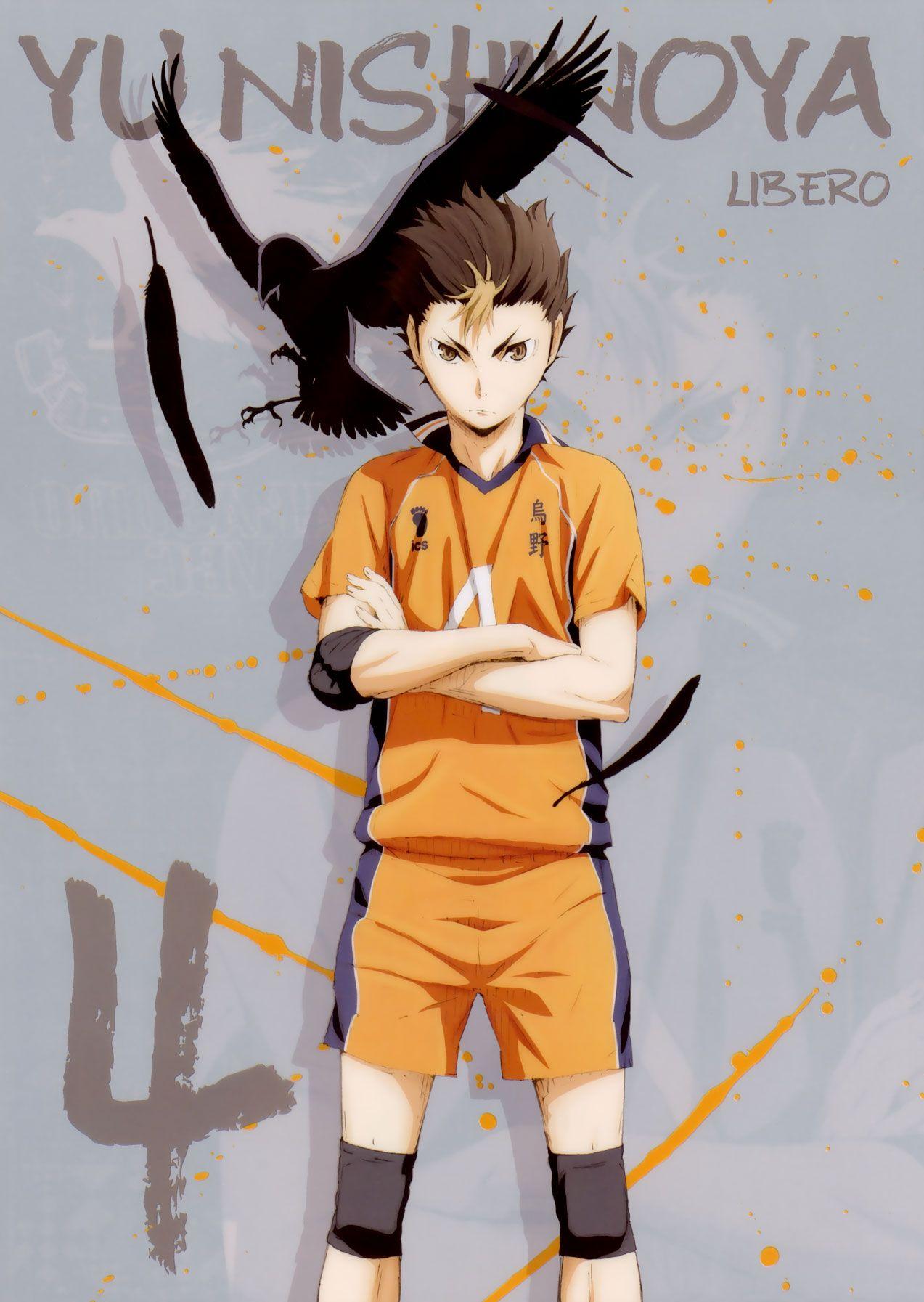 Noya Wallpapers