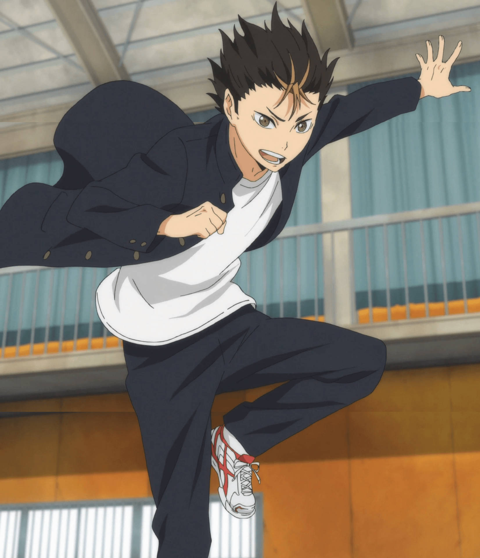 Noya Wallpapers