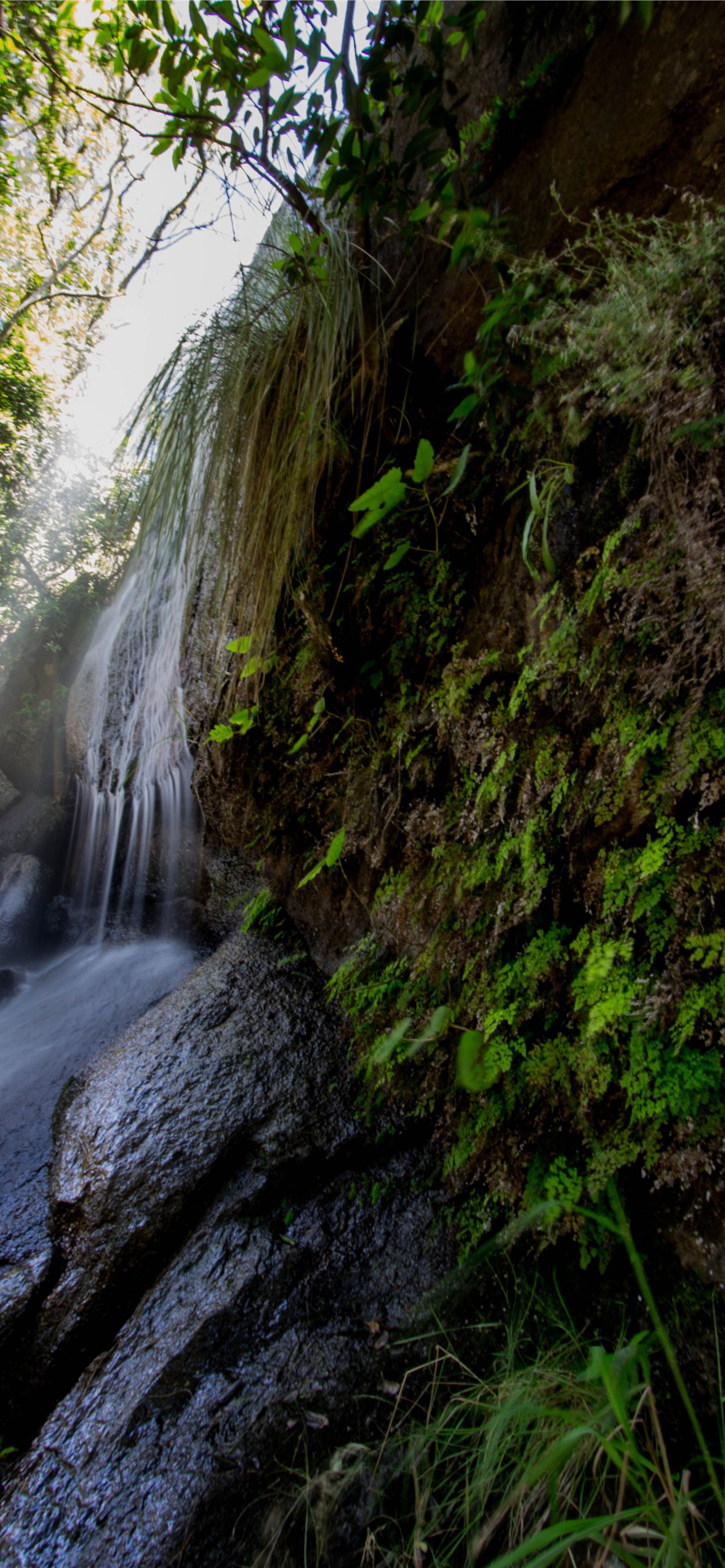 Nxai Pan National Park Wallpapers